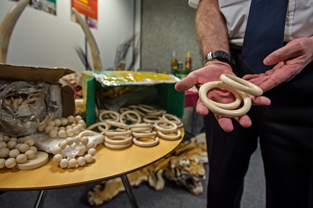 Elephant ivory bracelets seized by Border Force, Heathrow Airport, United Kingdom