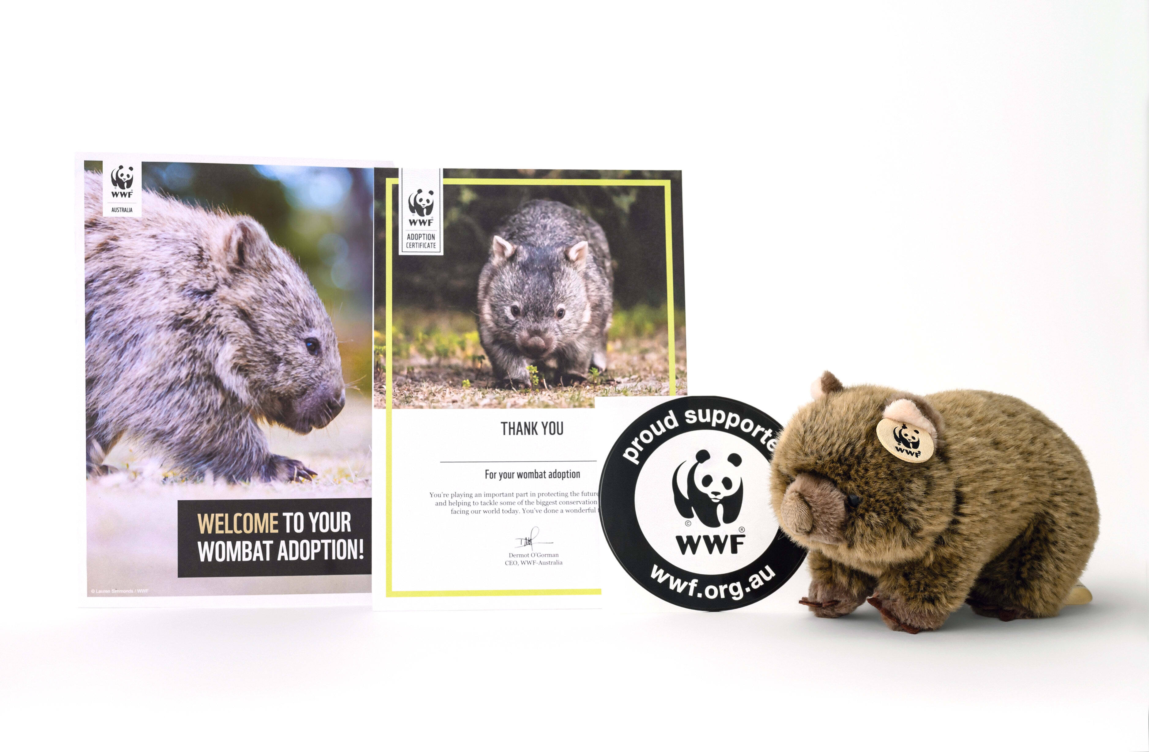 Adopt a wombat