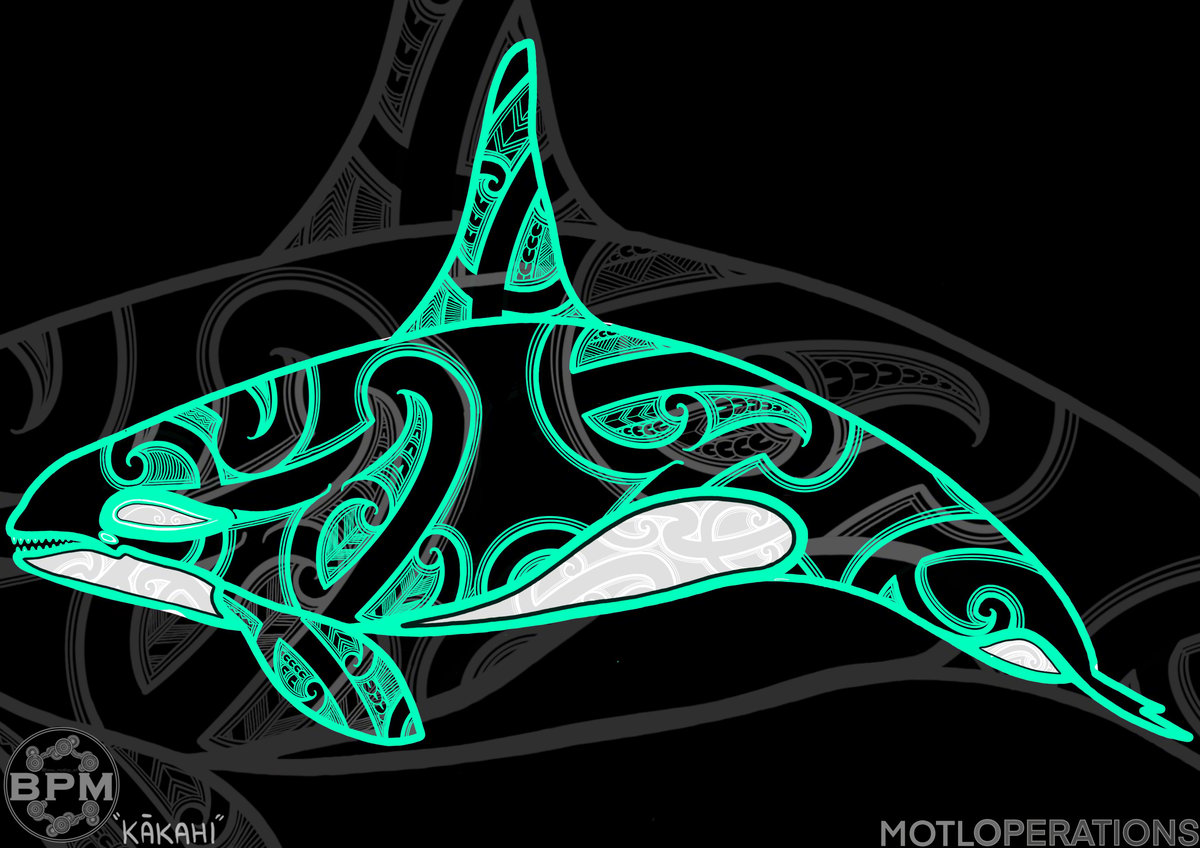 img_Beau_Pennefather_Motlop_orca