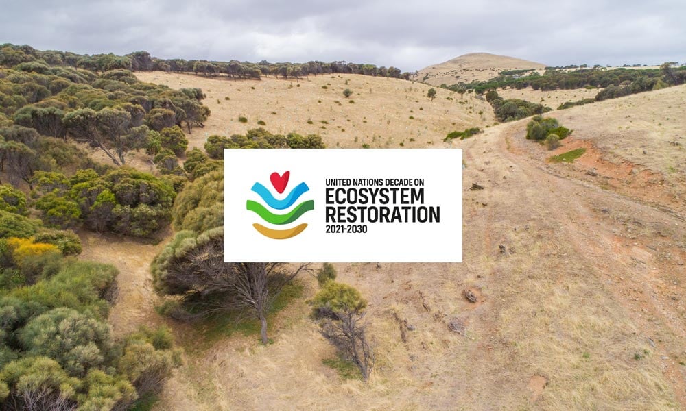 UN Decade on Ecosystem Restoration