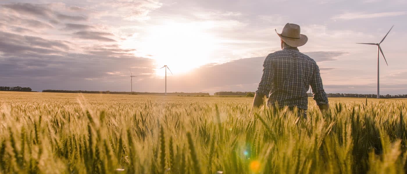 Walking through field with wind turbines - banner