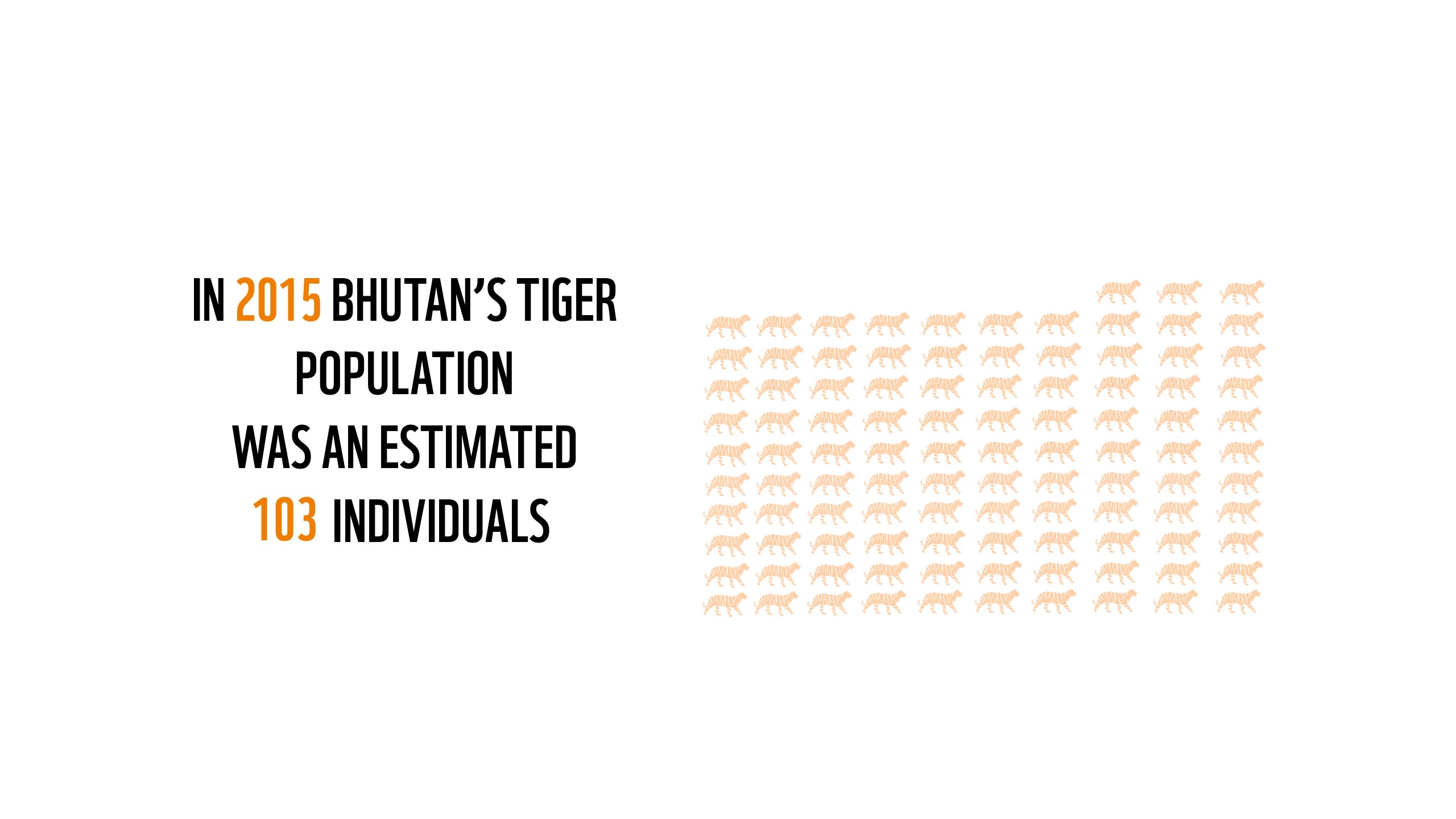 Img > Bhutan tiger numbers 2015