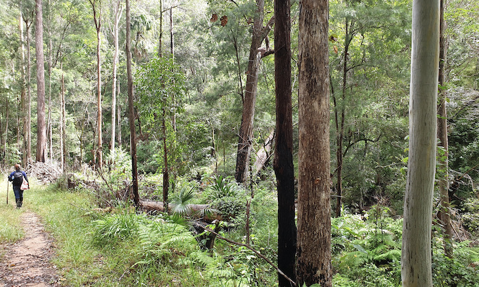 One of the stunning landscapes in Mount Barney National Park