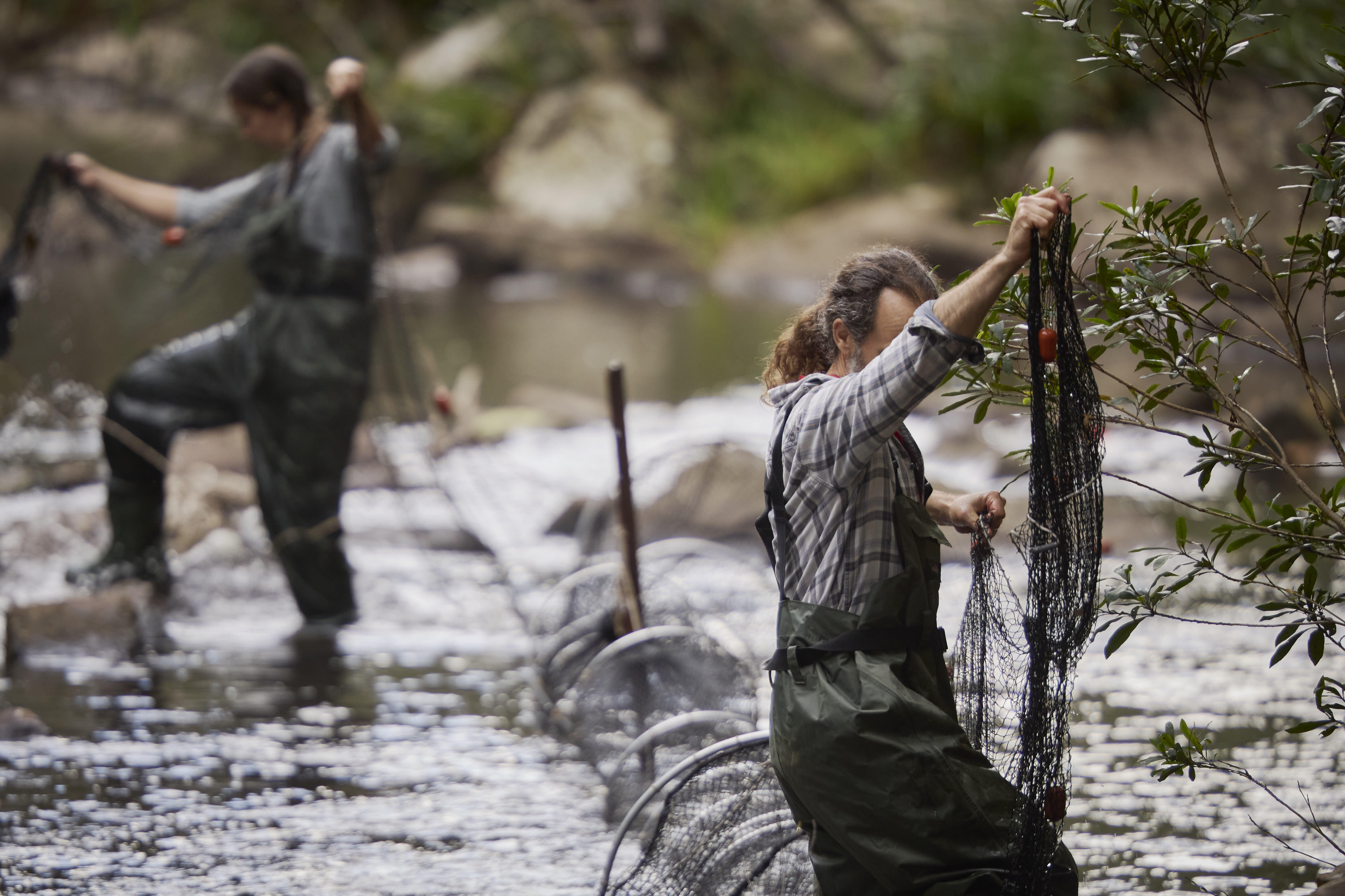 Dr Gilad Bino and Dr Tahneal Hawke lay the nets which will later catch platypuses for surveying