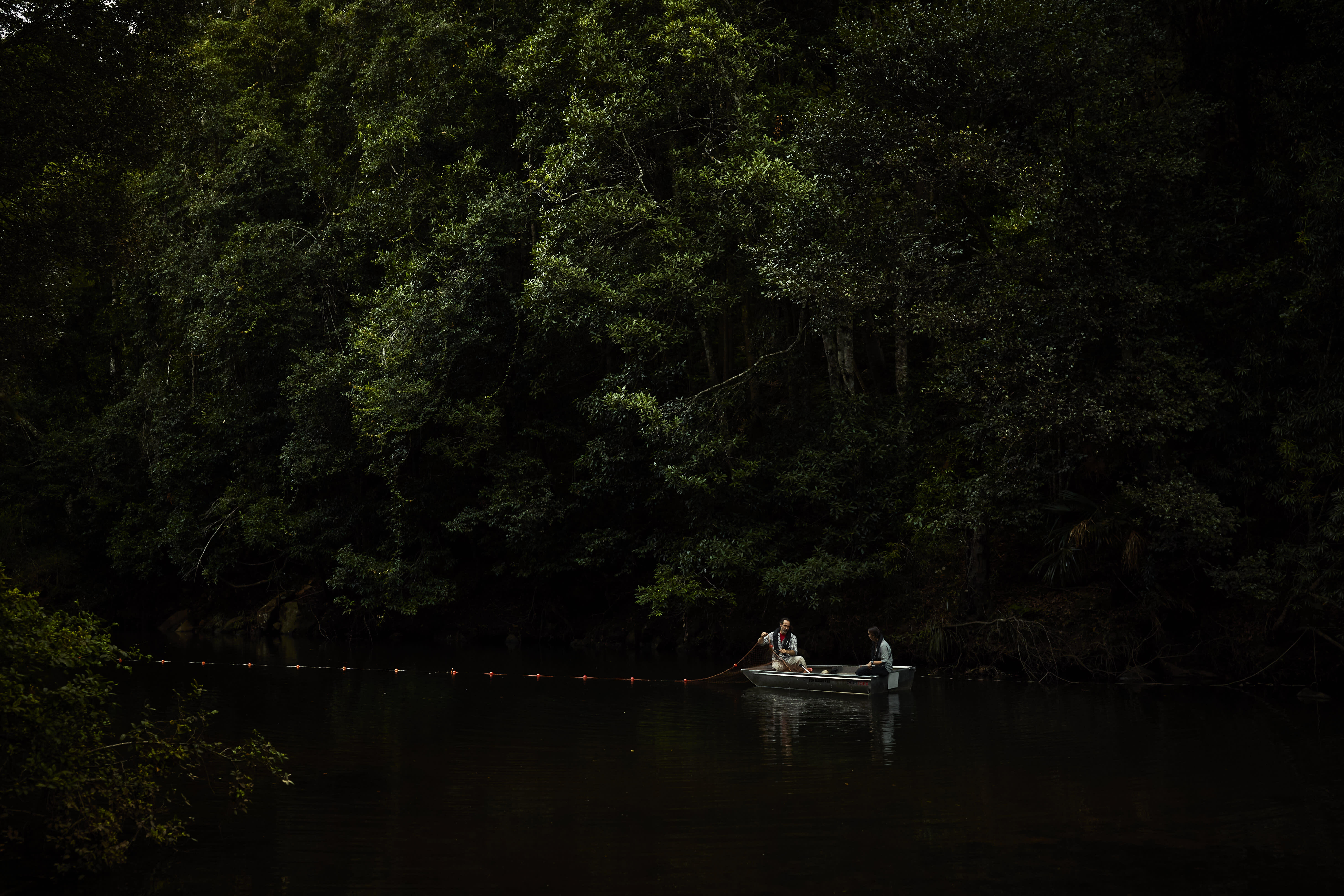 Casting nets in Royal National Park