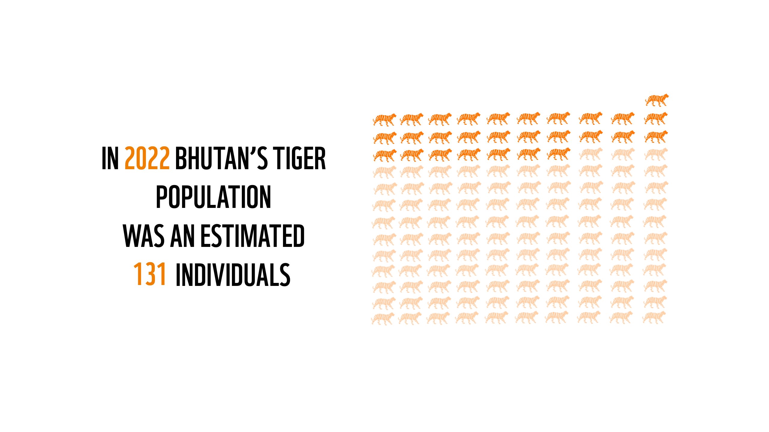 Img > Bhutan's tiger numbers in 2022