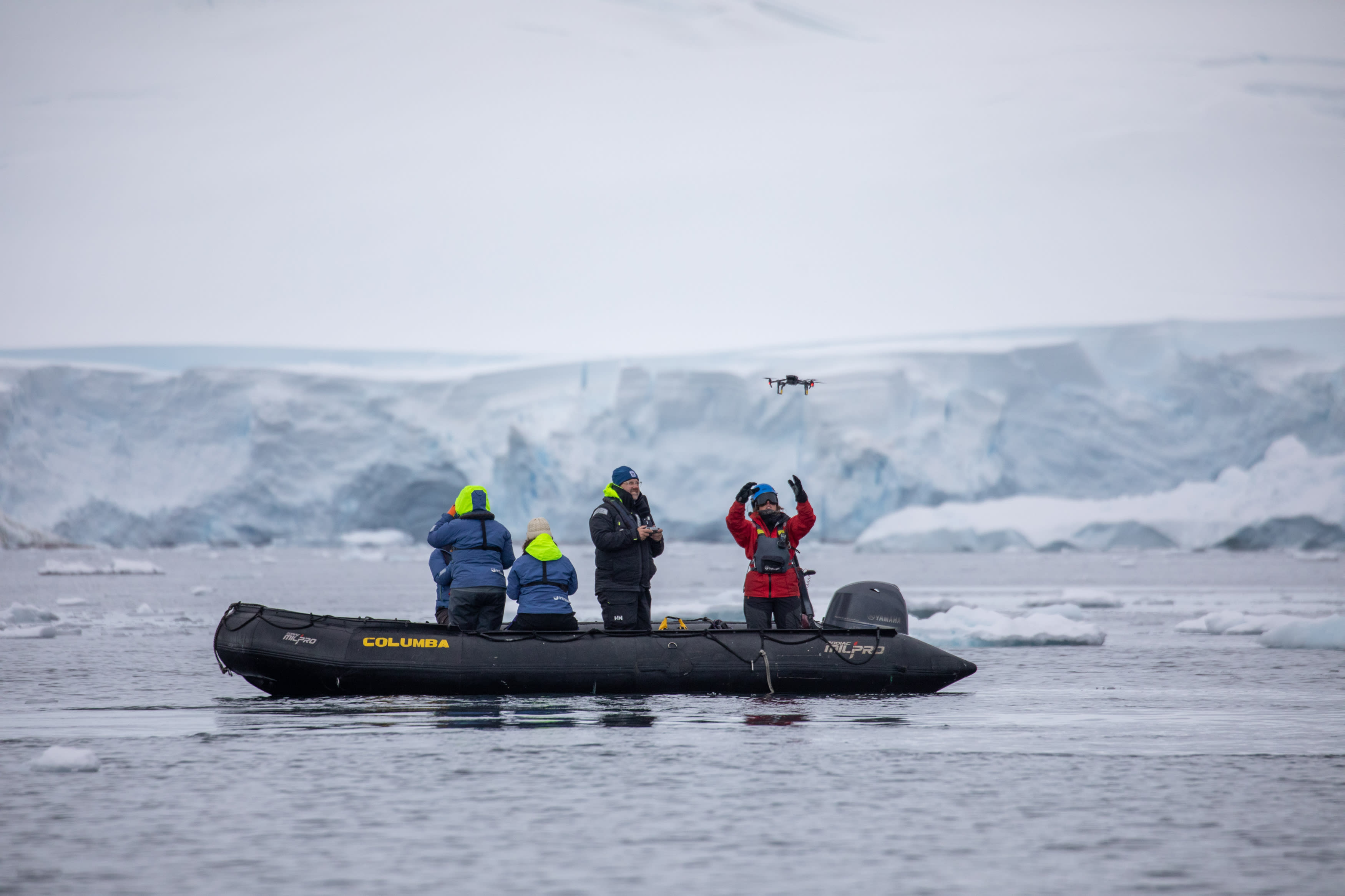 Researchers from WWF and UC Santa Cruz use drones to track the health, migration and feeding patterns of great whales in Antarctica 2024.