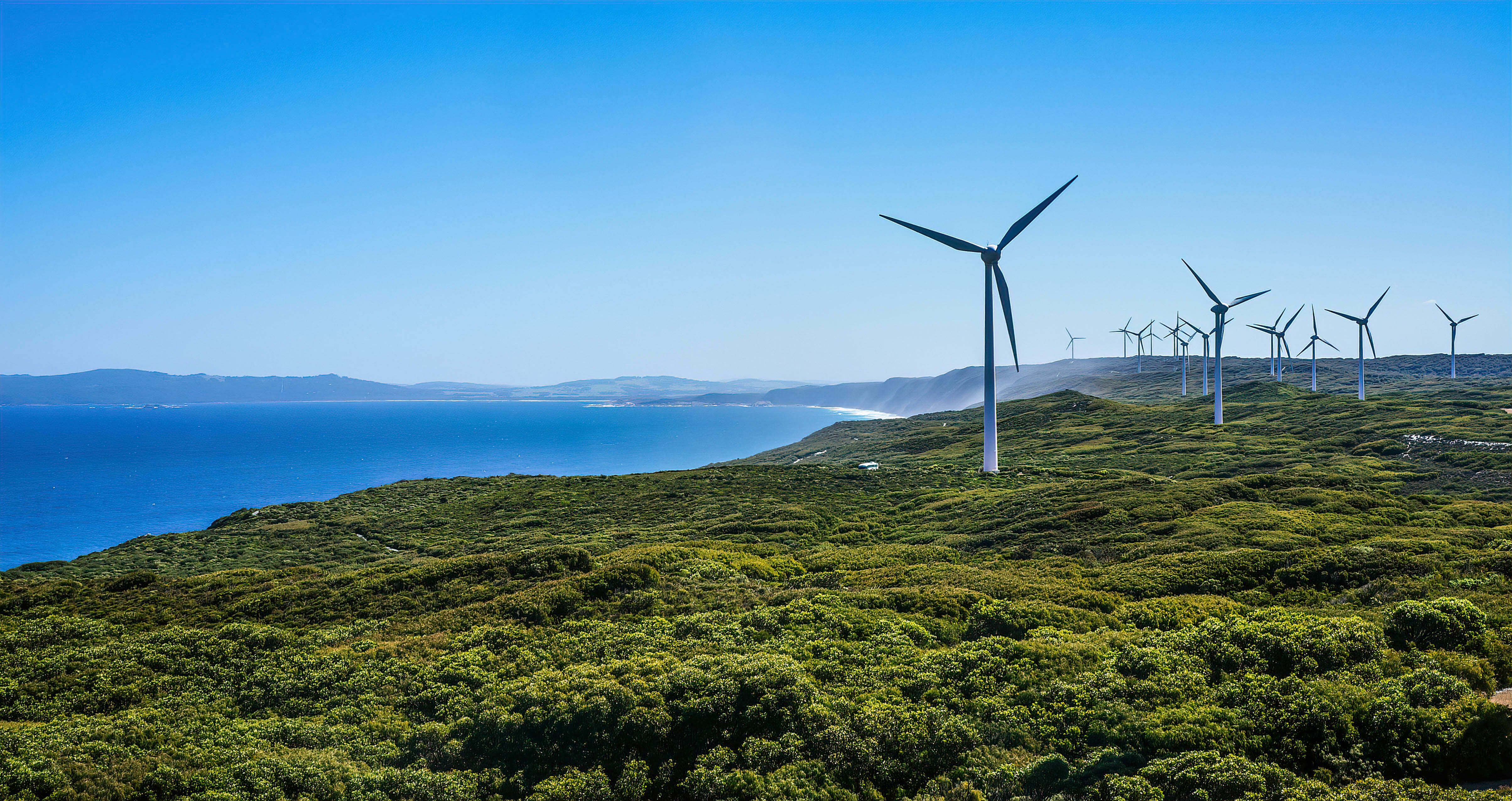 landscape image of a coastline with wind turbines.