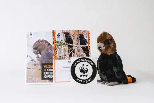 Image of a WWF-Australia glossy black cockatoo adoption pack and certificate. Pack features a glossy black cockatoo plush toy. Certificate features multiple high quality images of glossy black cockatoos in the wild.