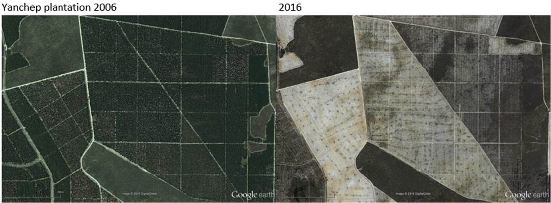 Google Earth image of Yanchep pine plantations= Western Australia in 2002 and 2016