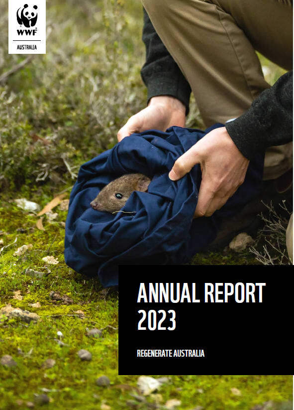 Annual Report 2023