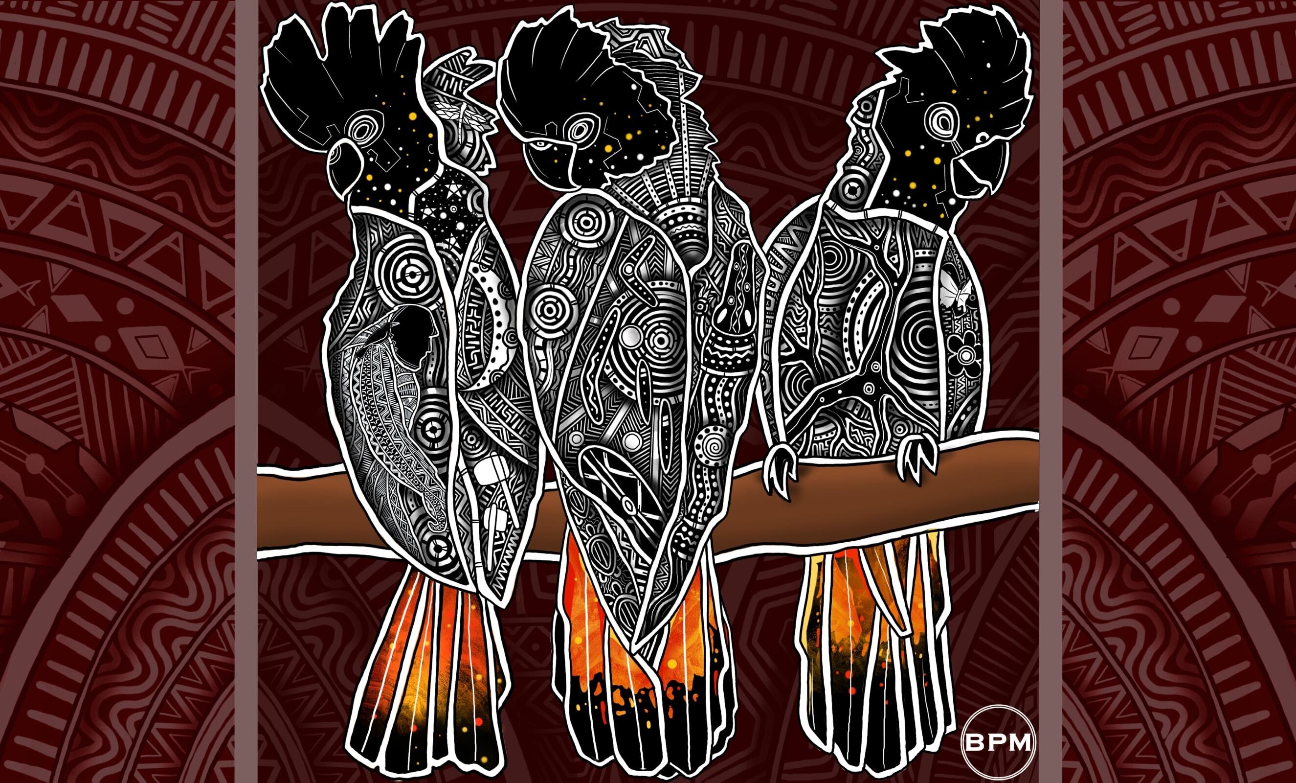 Indigenous glossy black cockatoo Art Wallpaper from Beau Pennefather-Motlop