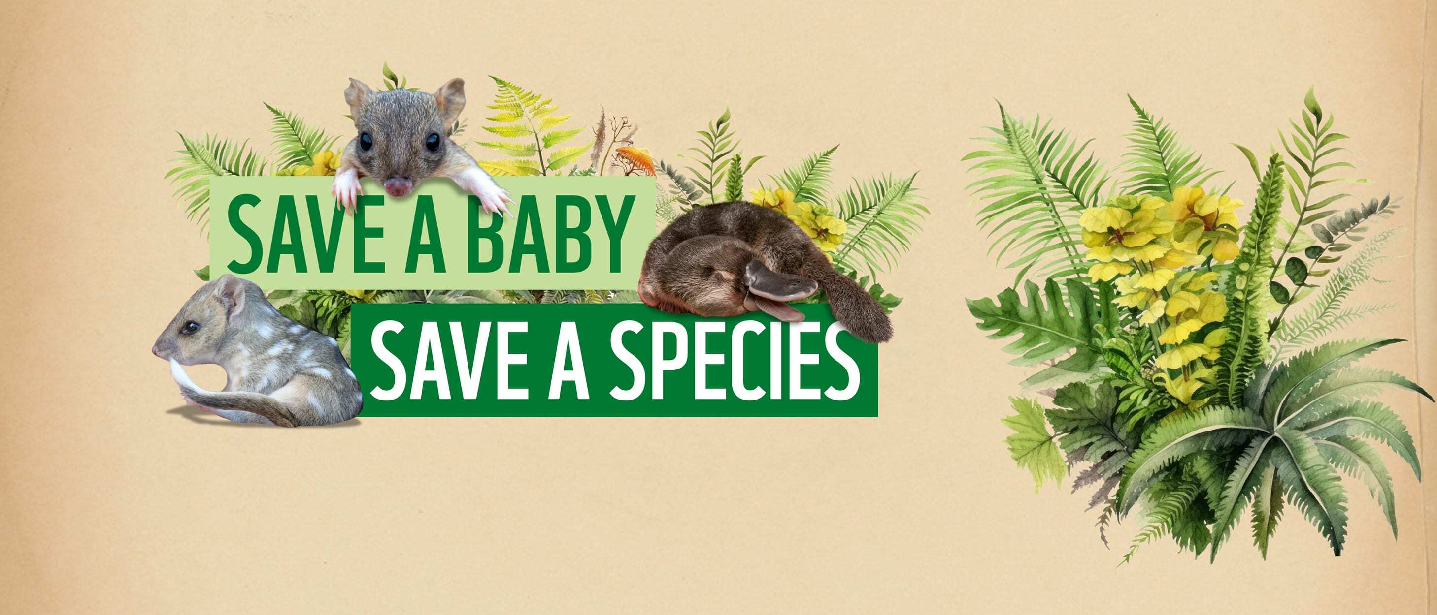 Save a baby, save a species banner image