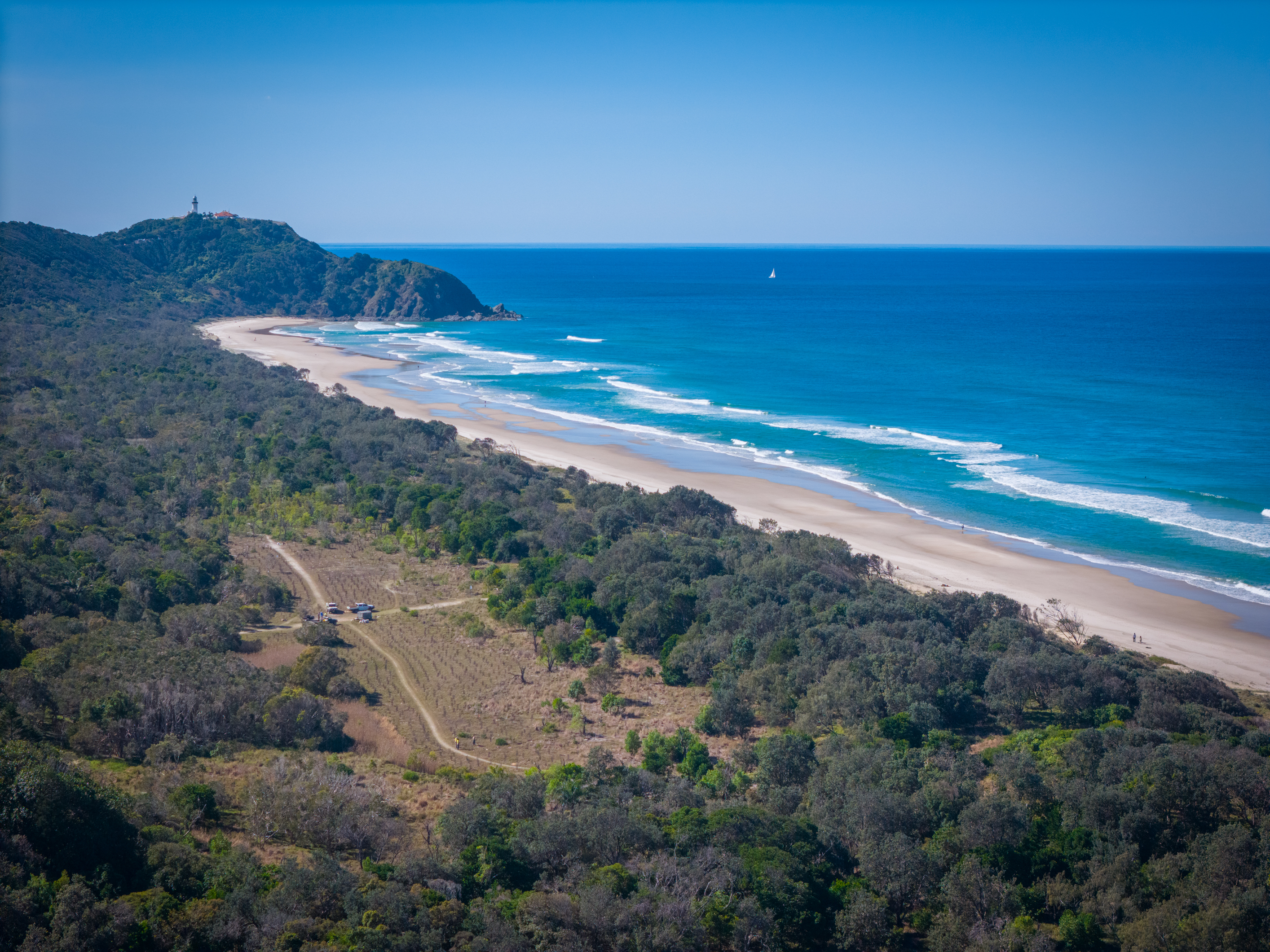 Trees were planted in Arakwal National Park, helping link vital koala habitat in the Northern Rivers region.