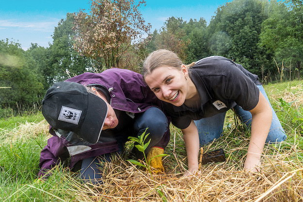 The WWF-Australia team are always excited to get their hands (and feet!) dirty for koala recovery!