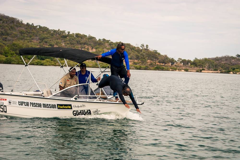 Girringun and Gudjuga Rangers catching turtles at the Traditional Owners Turtle Training Camp in Bowen= Queensland