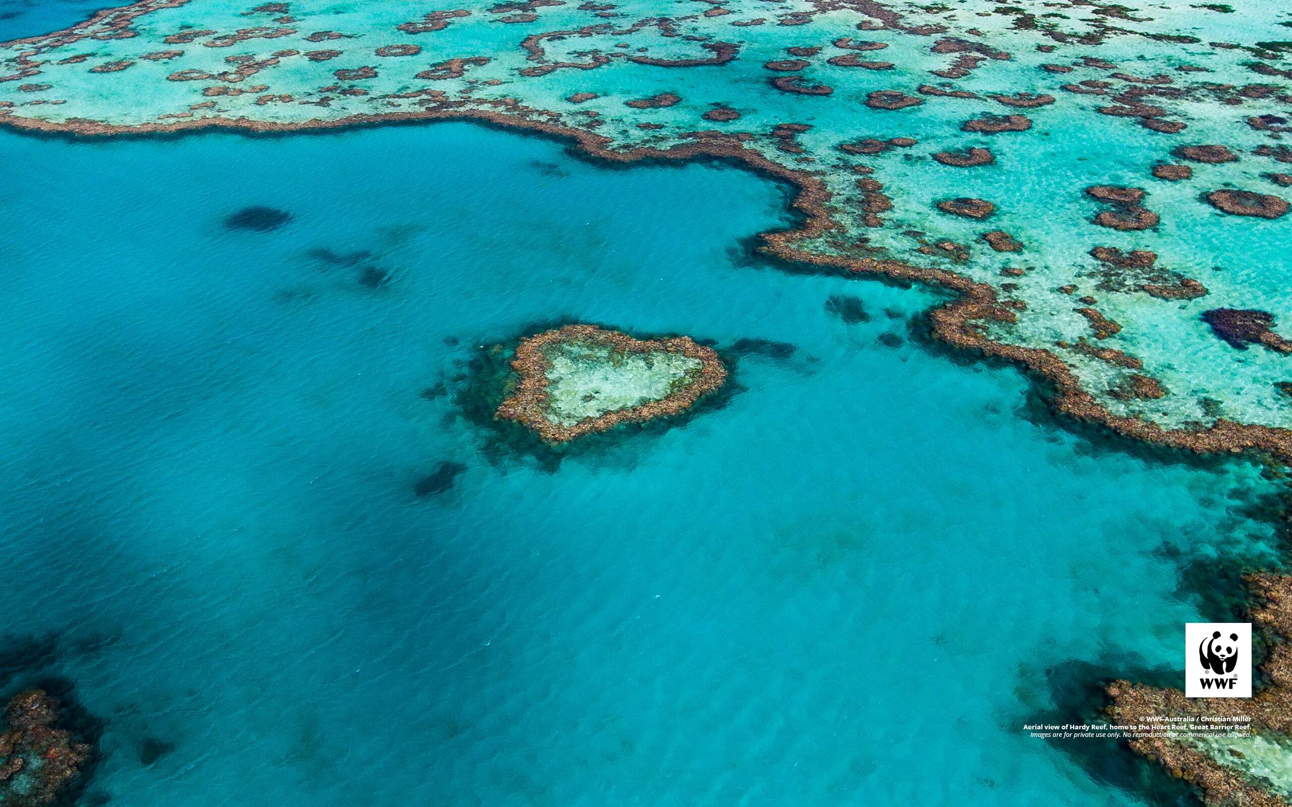 Great Barrier Reef