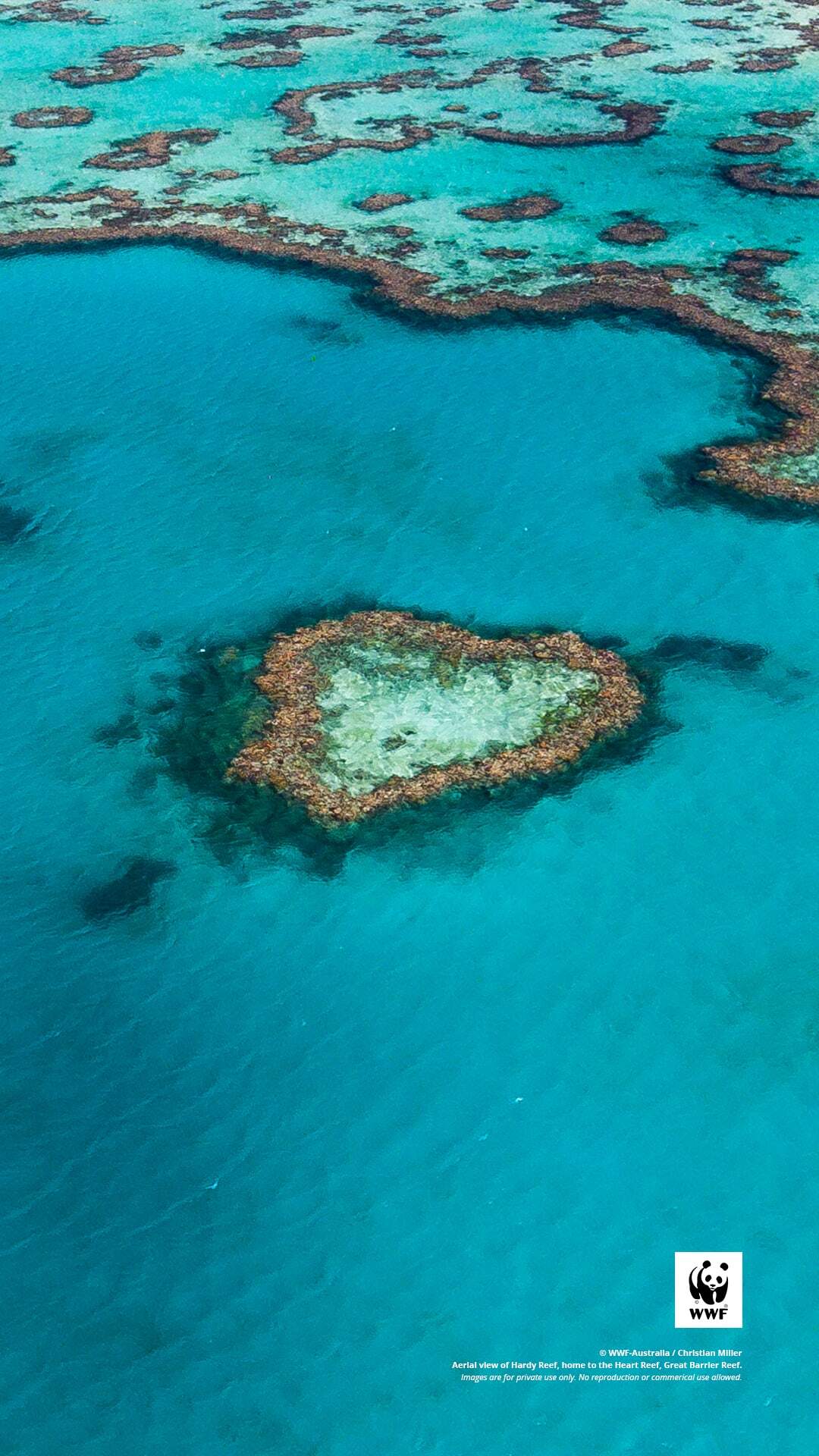 Great Barrier Reef