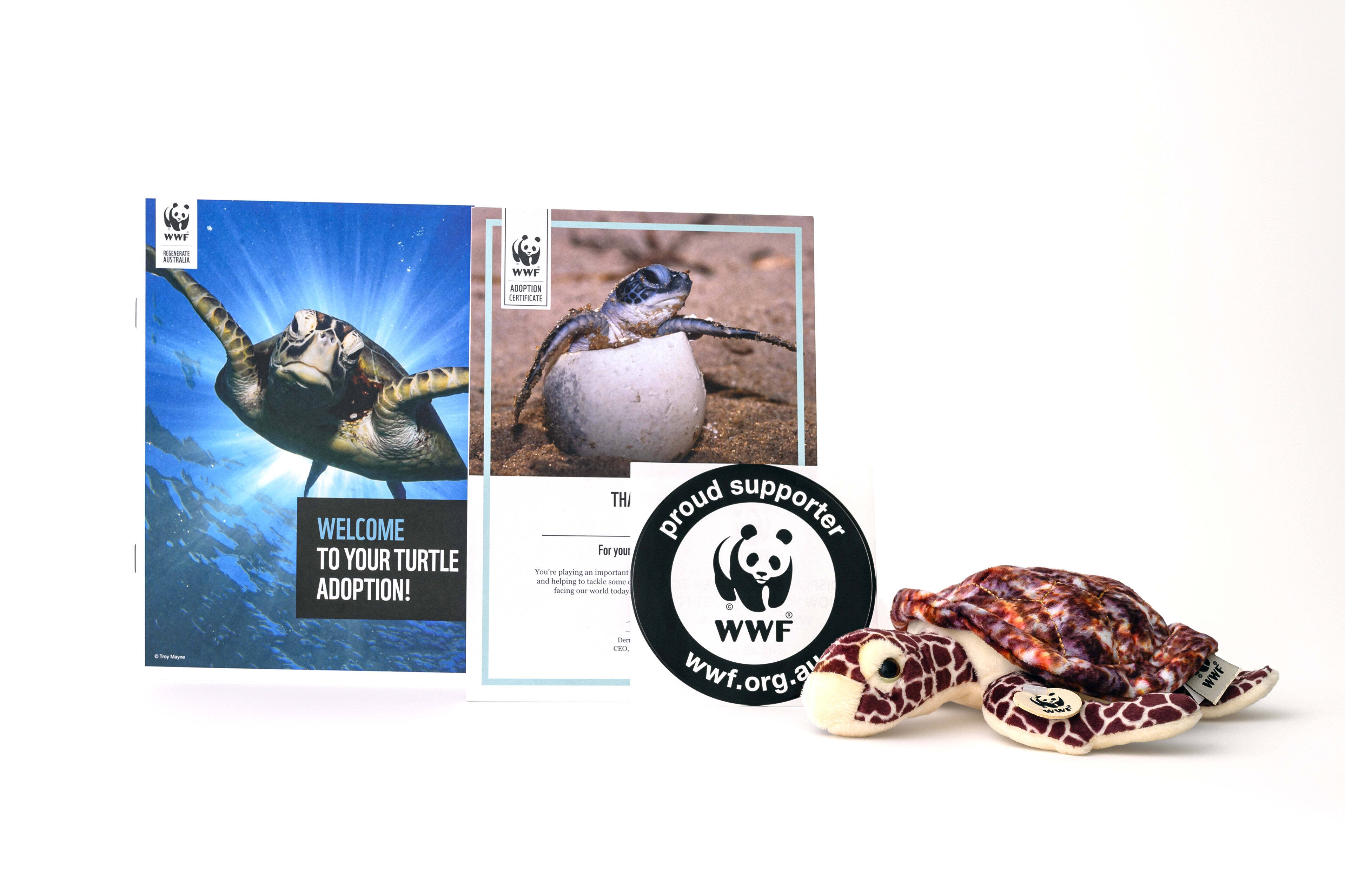 Hawksbill Turtle Adoption pack