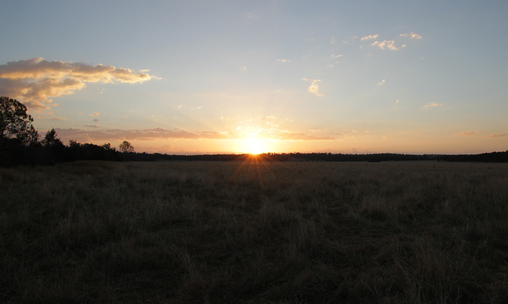 Future site of tree planting project= Hidden Vale