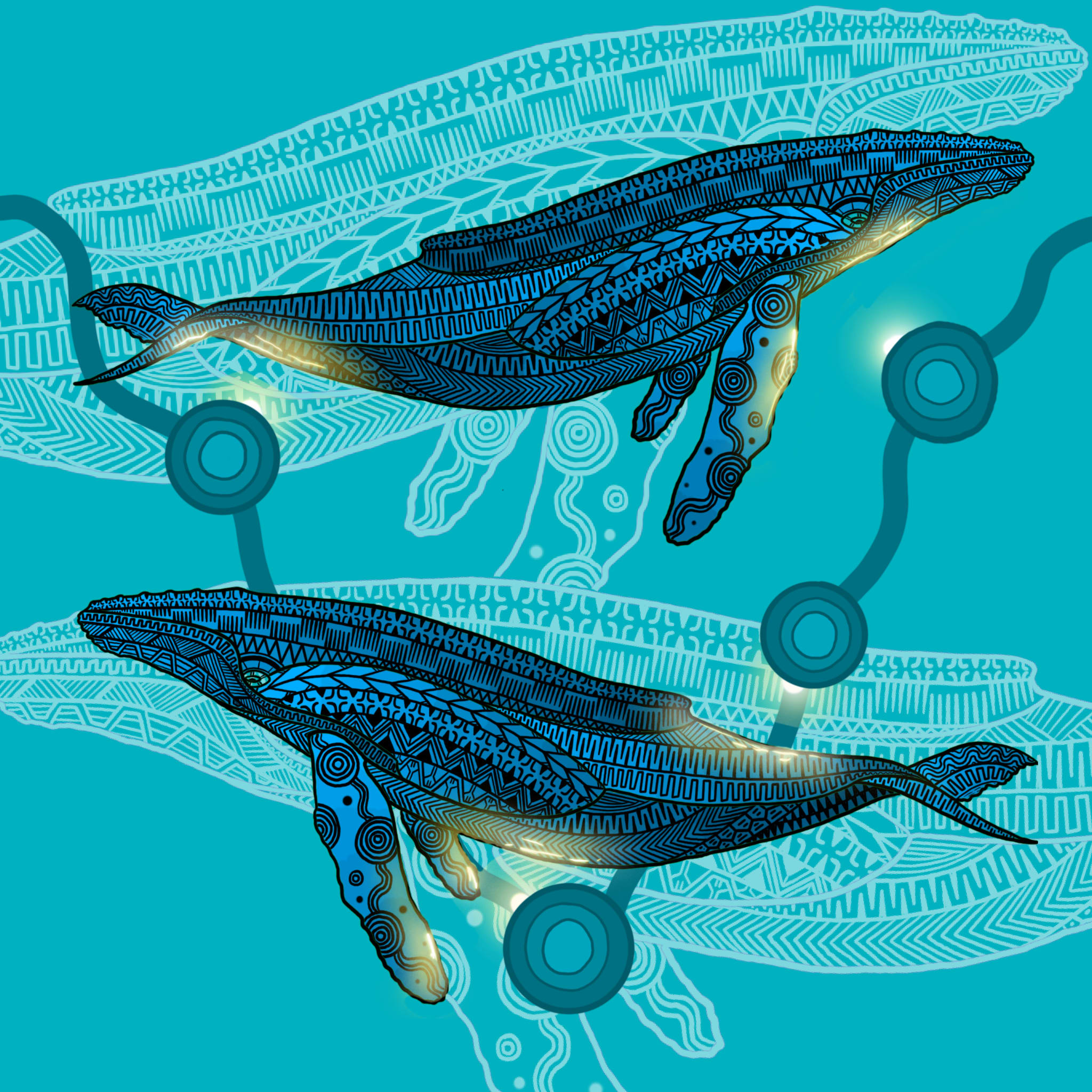 Indigenous humpback whale art (square format) from Jirrbal, Wagedoegam, Ngapuhi & Scottish artist Beau Pennefather-Motlop.