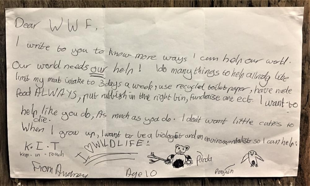 Love letter to nature written by Audrey