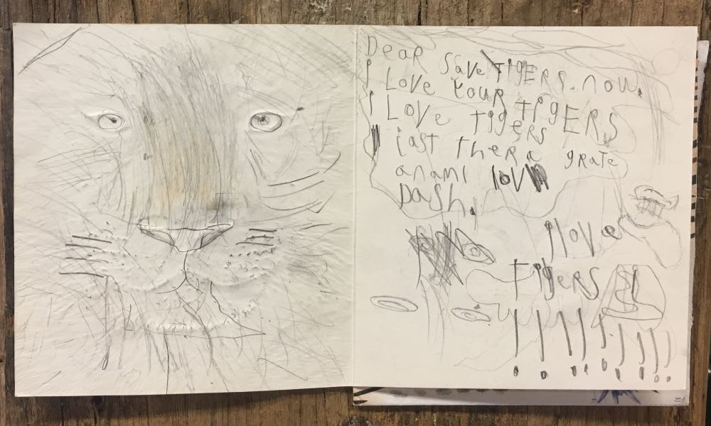 Love letter to nature written by Dash