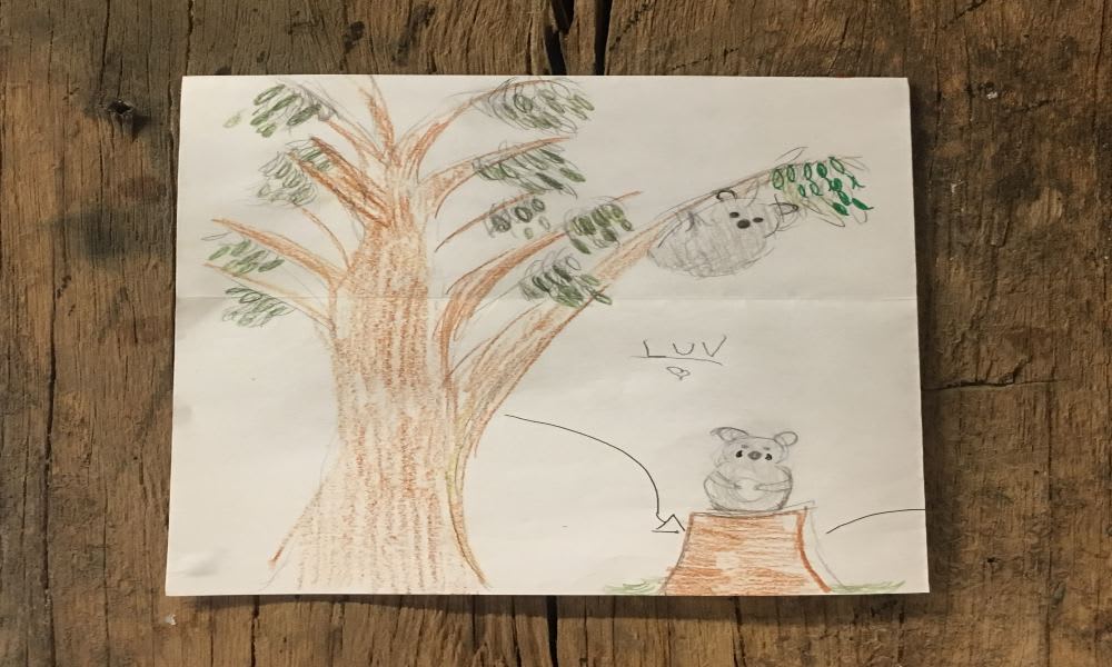 Love letter to nature written by Florence
