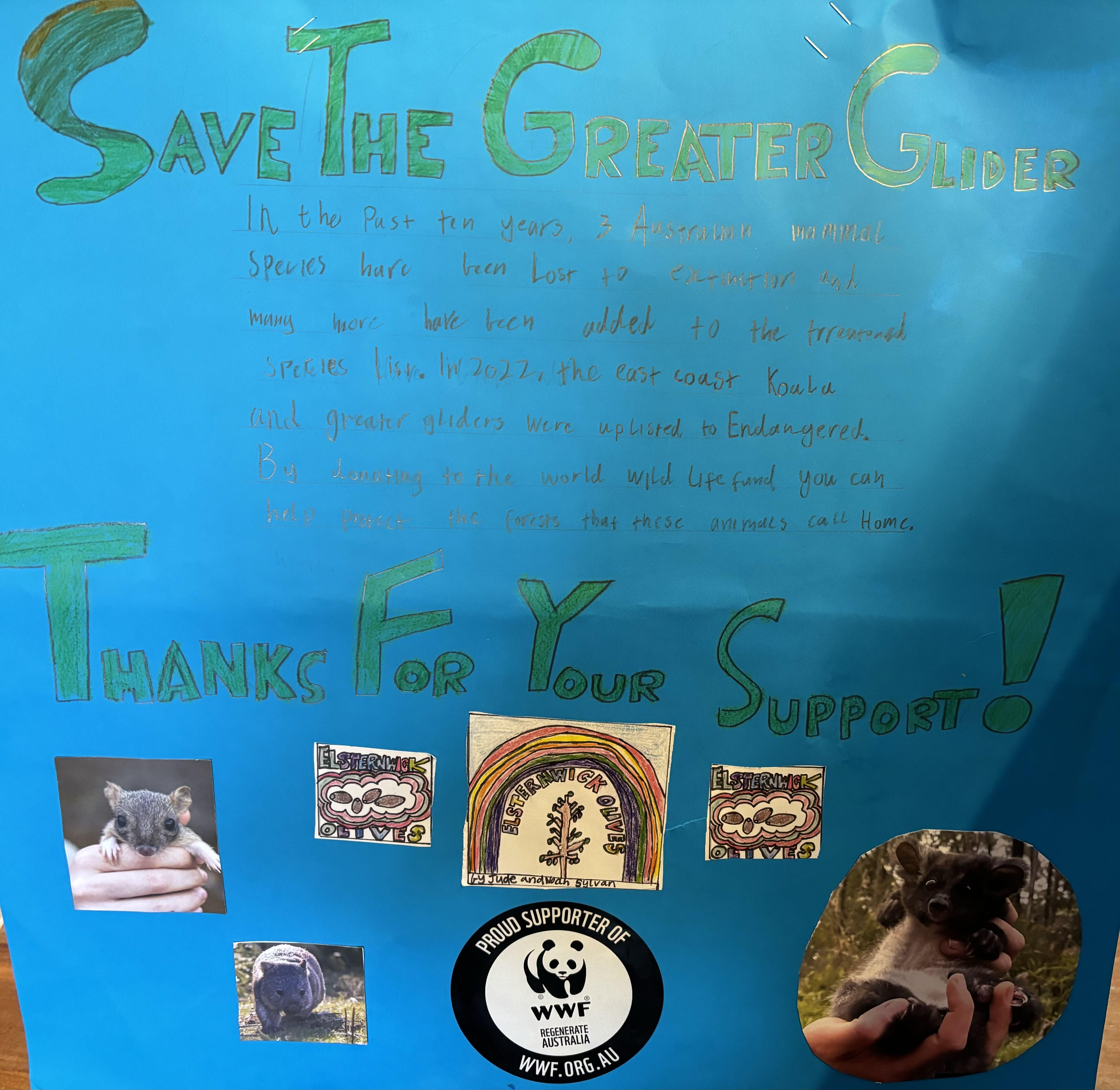 img_elsternwick_save_greater_gliders_sign
