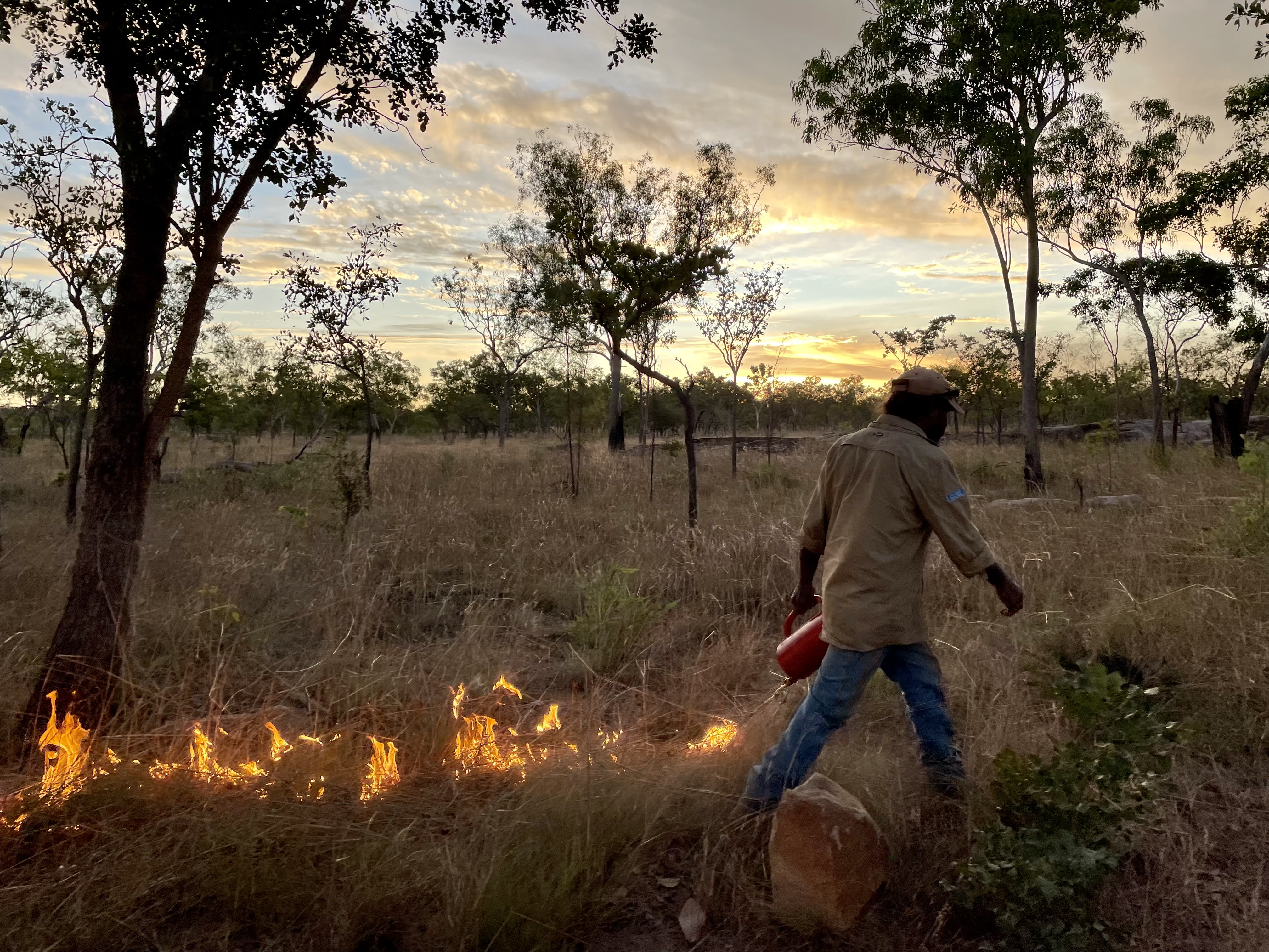 Uunguu Ranger Desmond Williams conducting ground burning using a drip torch on Wunambal Gaambera Country