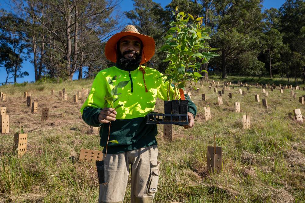 Jye Glass= EcoCrews= planting trees at a South Coast farm to create corridors for koalas and other species in bushfire-affected areas