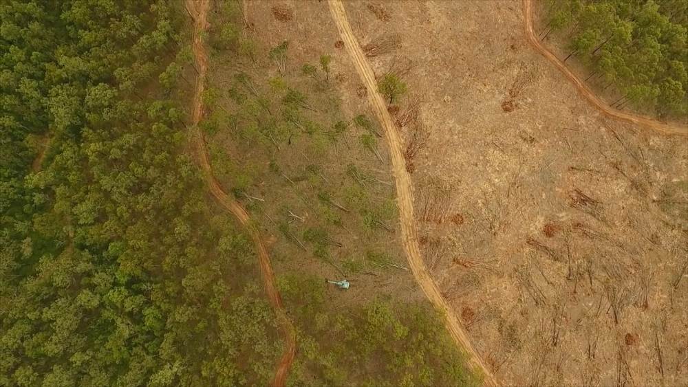 Aerial image of a bulldozer clearing trees for an urban expansion near Ipswich, southeast Queensland, April 2017.