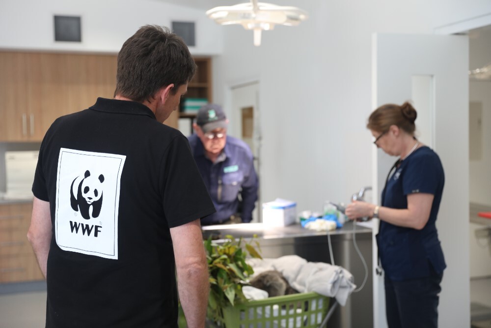 Stuart Blanch and Kevin= Port Stephens Koalas Wildlife Hospital