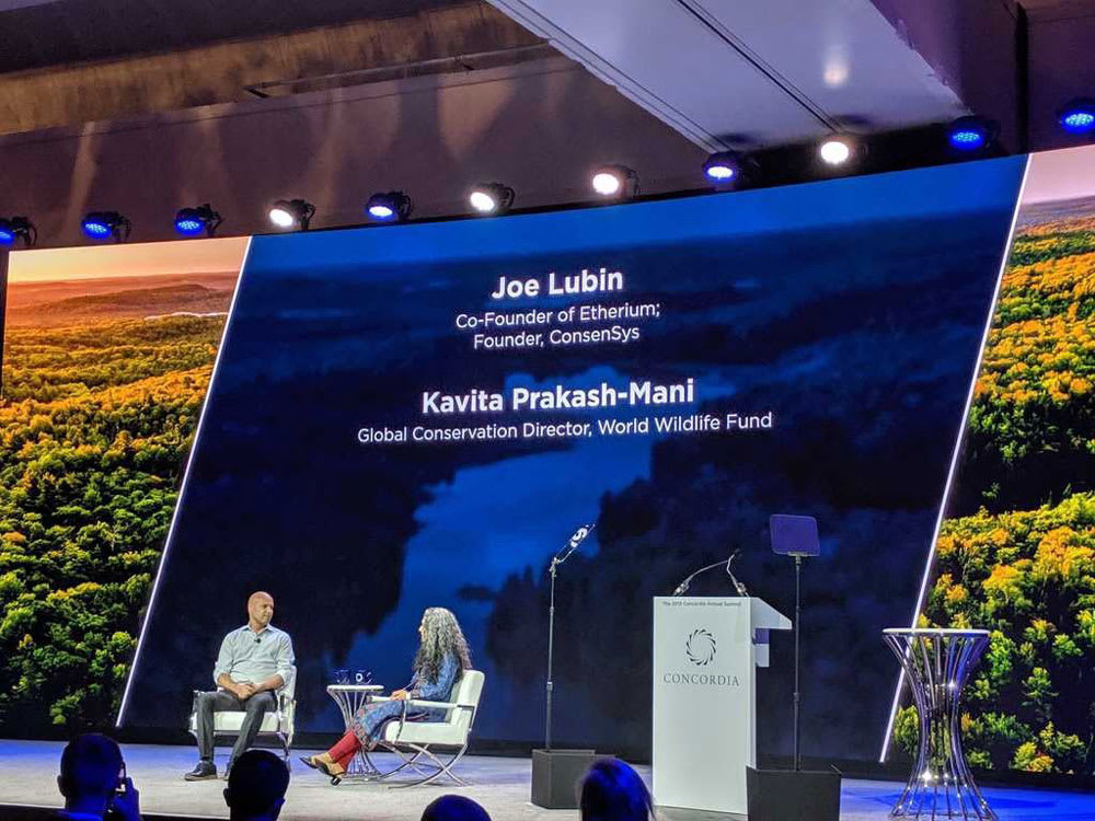 Impactio Launch 2019