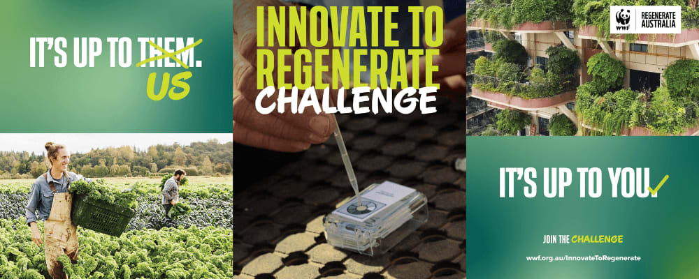 Innovate to Regenerate Hero