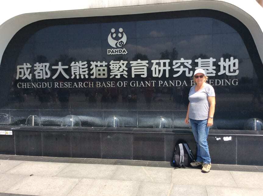 img_Kim_Miller_chengdu_research_base_giant_panda_breeding