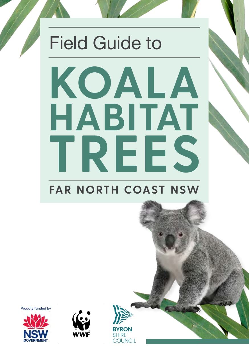 Field Guide to Koala Habitat Trees Far North Coast NSW