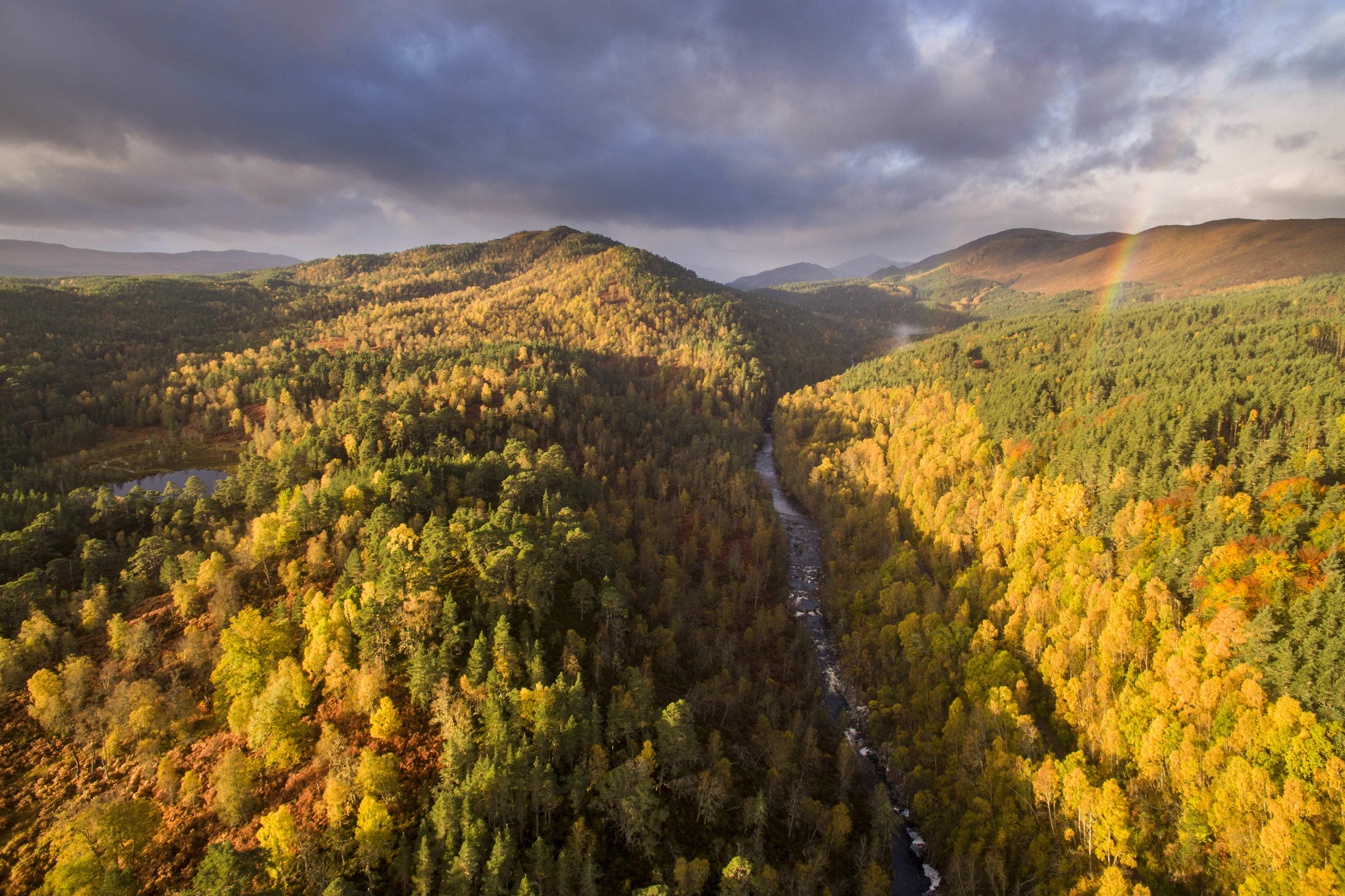 River Affric and autumnal pine and birch woodland, Glen Affric, Highland, Scotland, UK