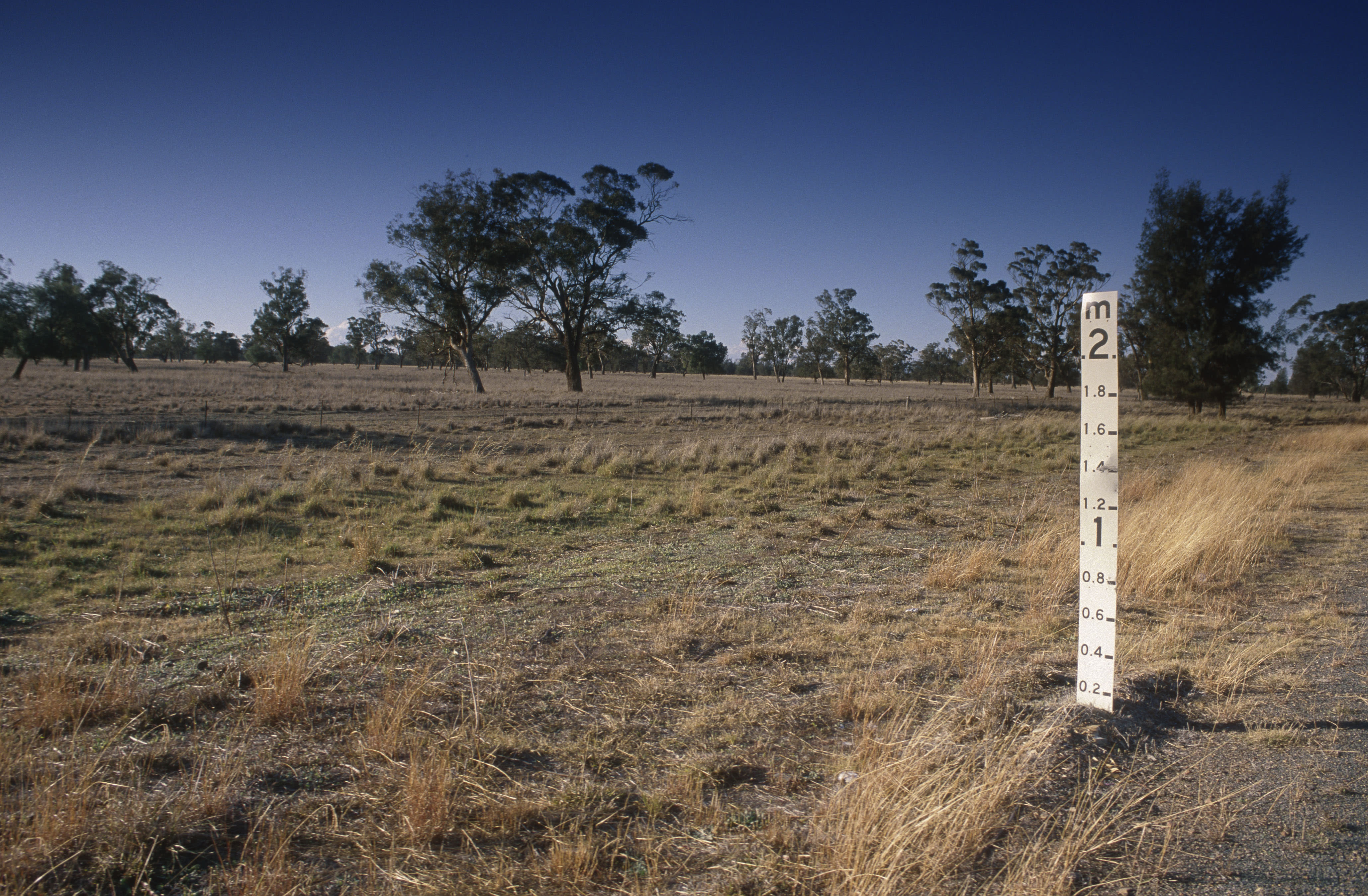 NSW grasslands