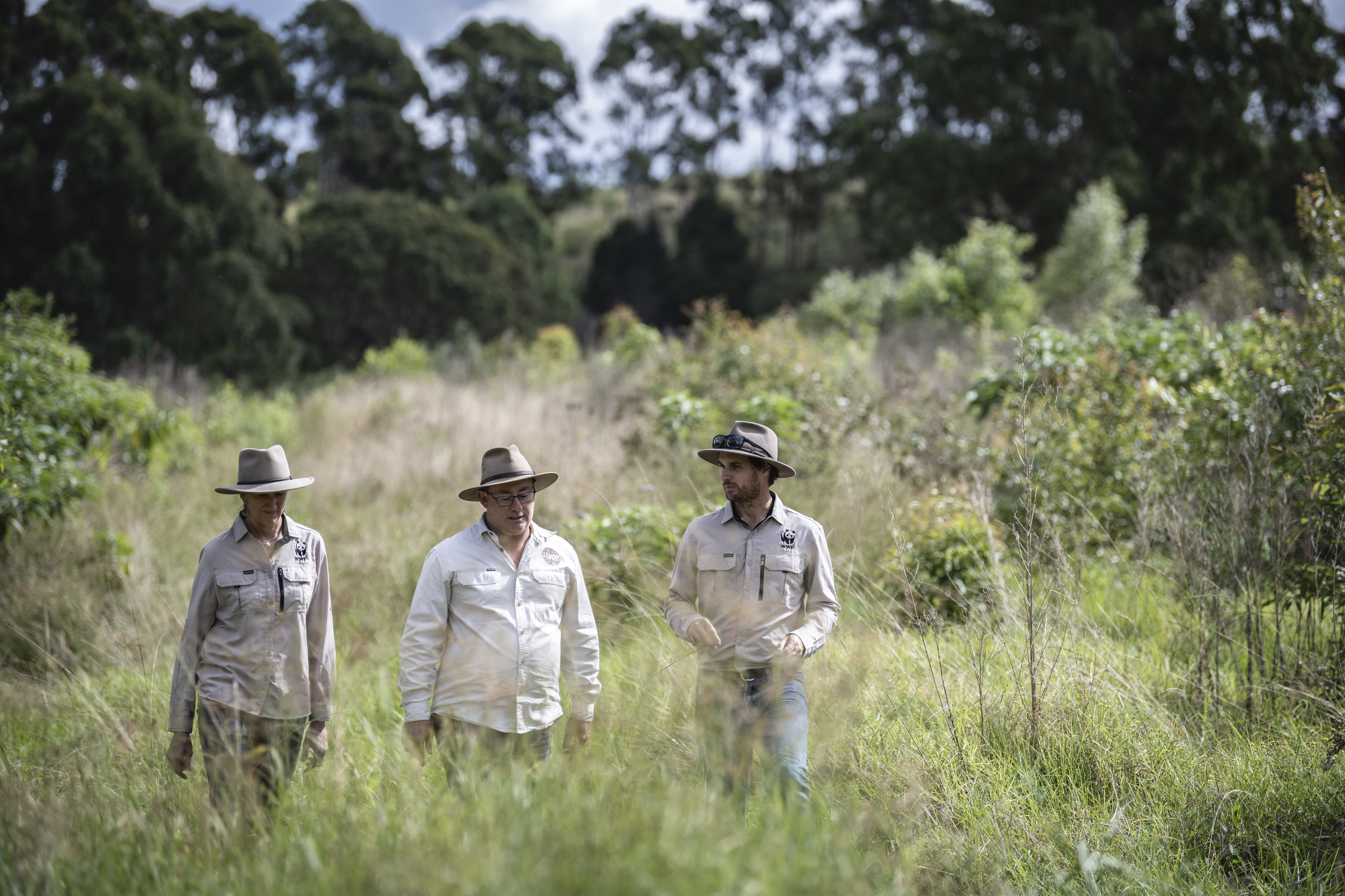 Clunes, New South Wales, Australia. WWF-Australia experts Tanya Pritchard (left) and Ben Herington (right) are finishing a walk through the newly planted forest at the Banyula farm in Clunes together with Banyula farm manager Matt Bleakley (centre) to make observations and get the pulse of the health of the trees, 3 years after the planting took place. The growth of the trees is healthy and very encouraging, with birds coming back in the area.