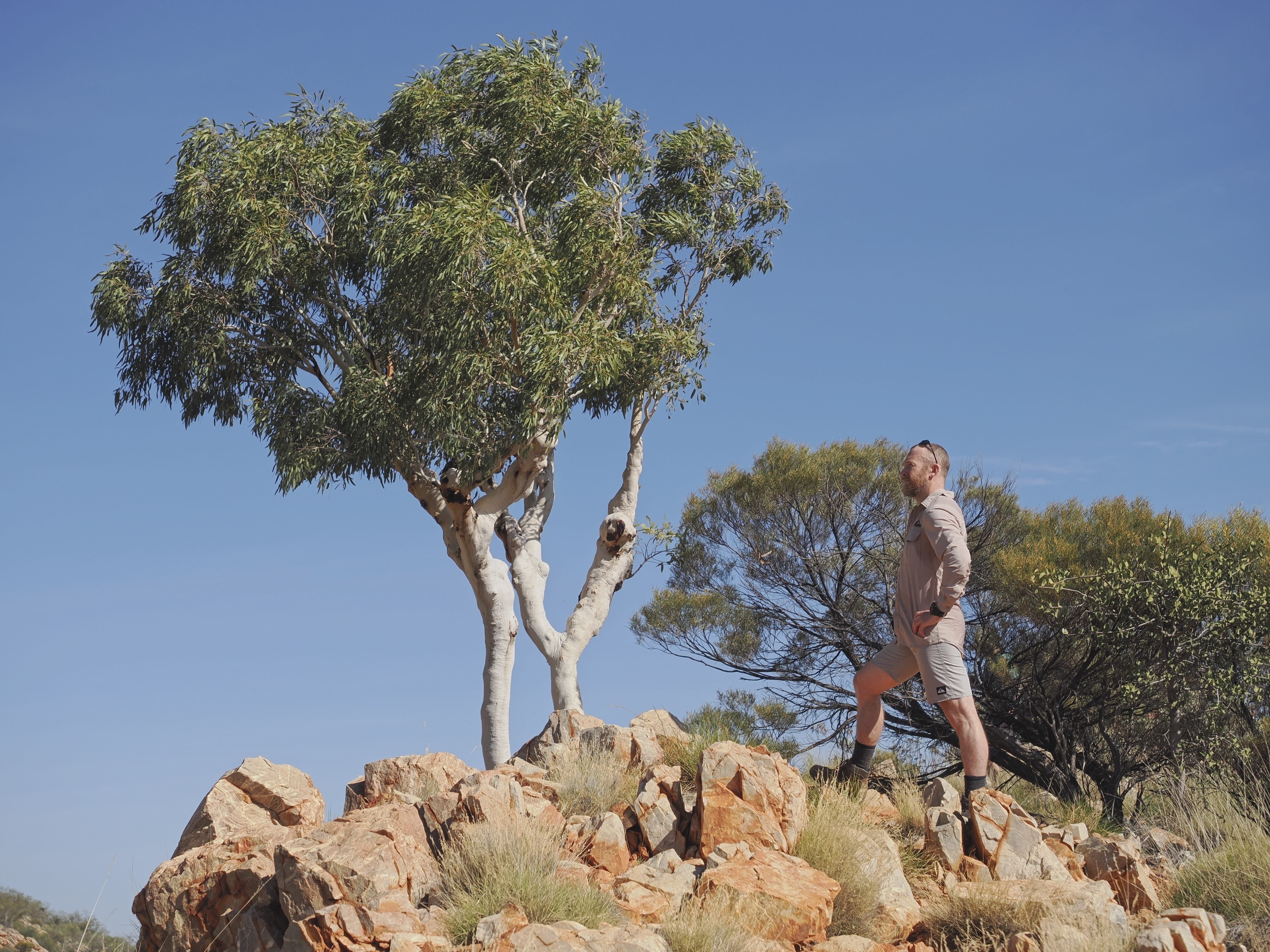 img3_Uluru_Brendens_blog_Larapinta