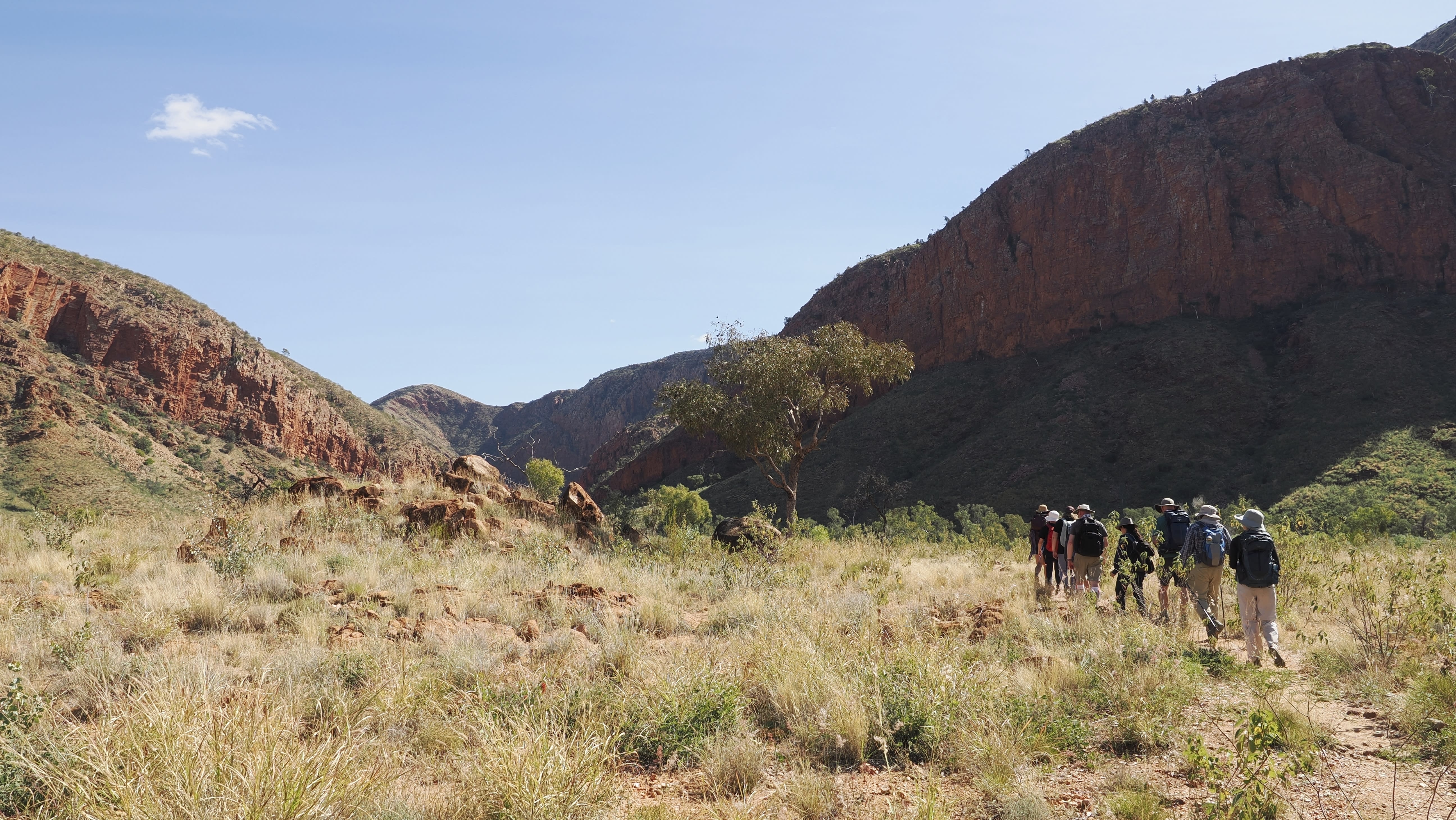 img_Brendens_blog_Larapinta_OrmistonGorge