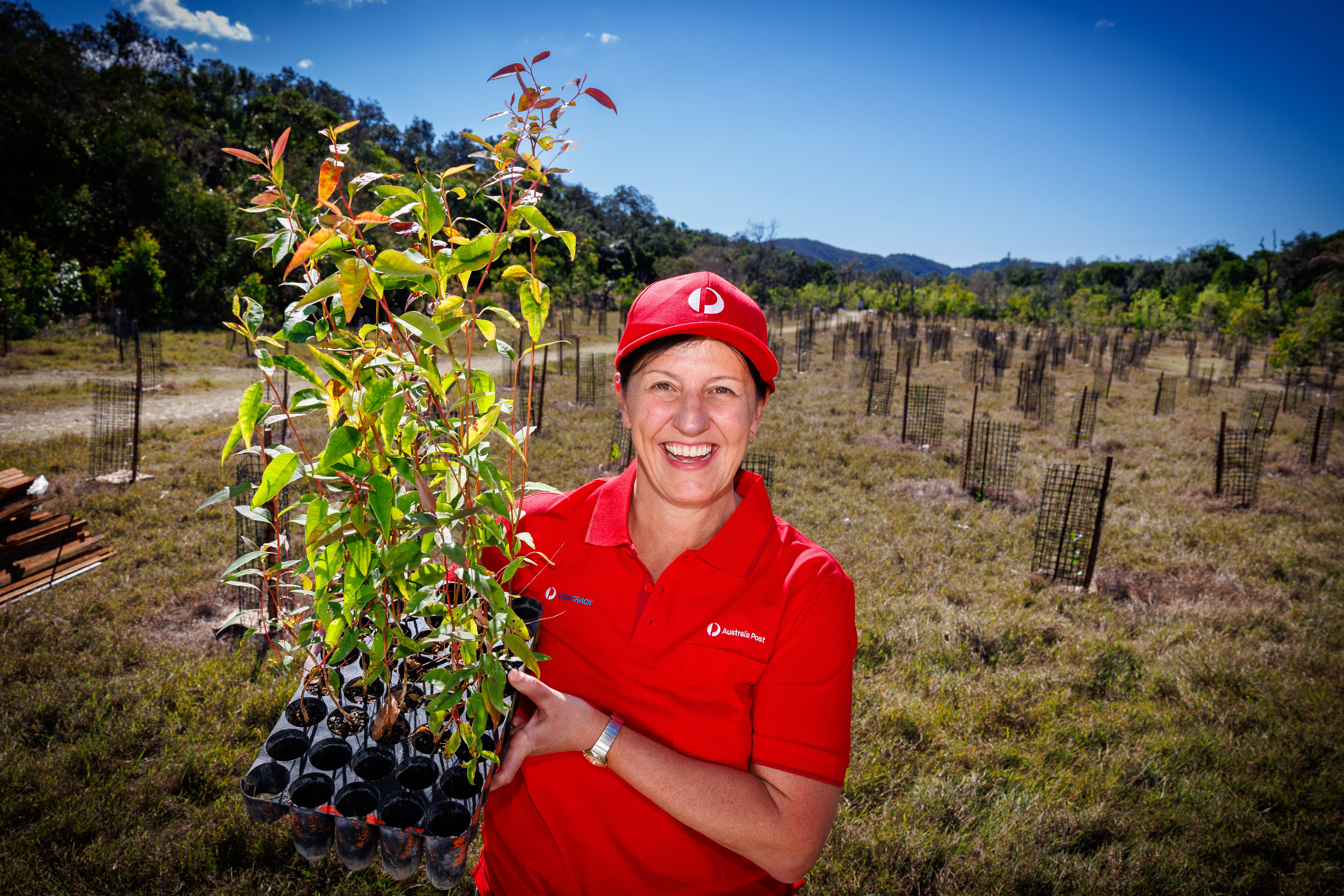 Image: Aus Post tree planting Arakwal NP 3
