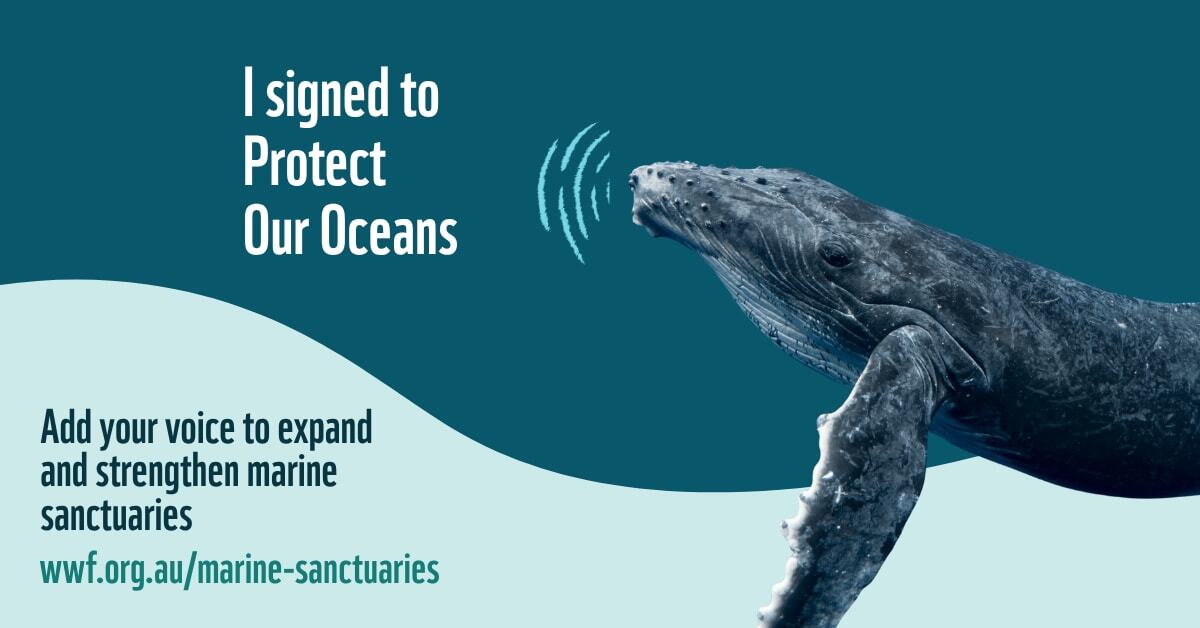 I signed to Protect Our Oceans Landscape