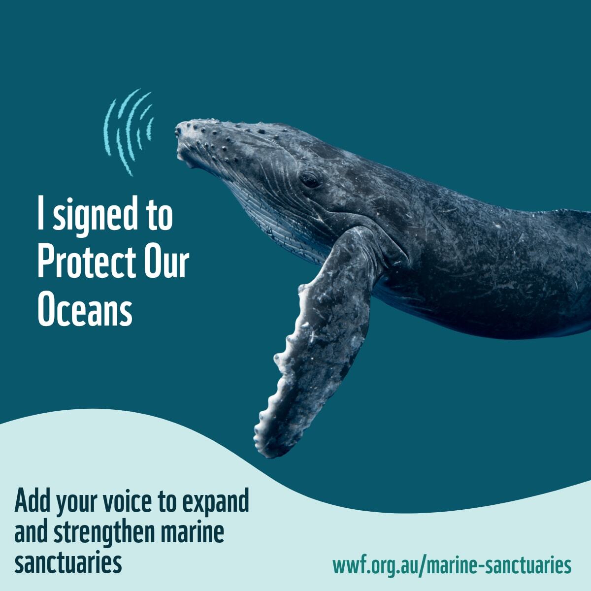 I signed to Protect Our Oceans Square