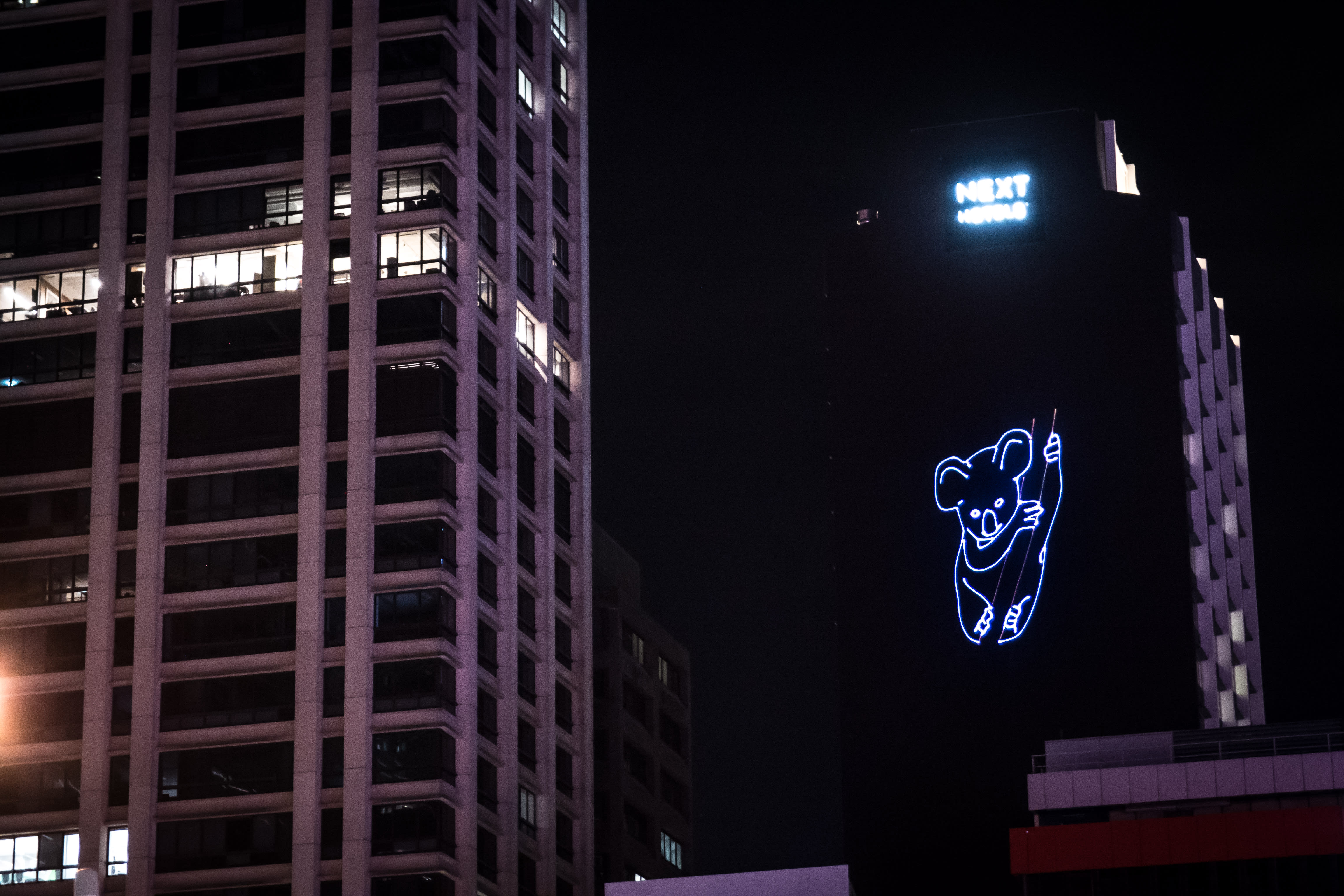 Koala projection, Brisbane CBD, November 2017