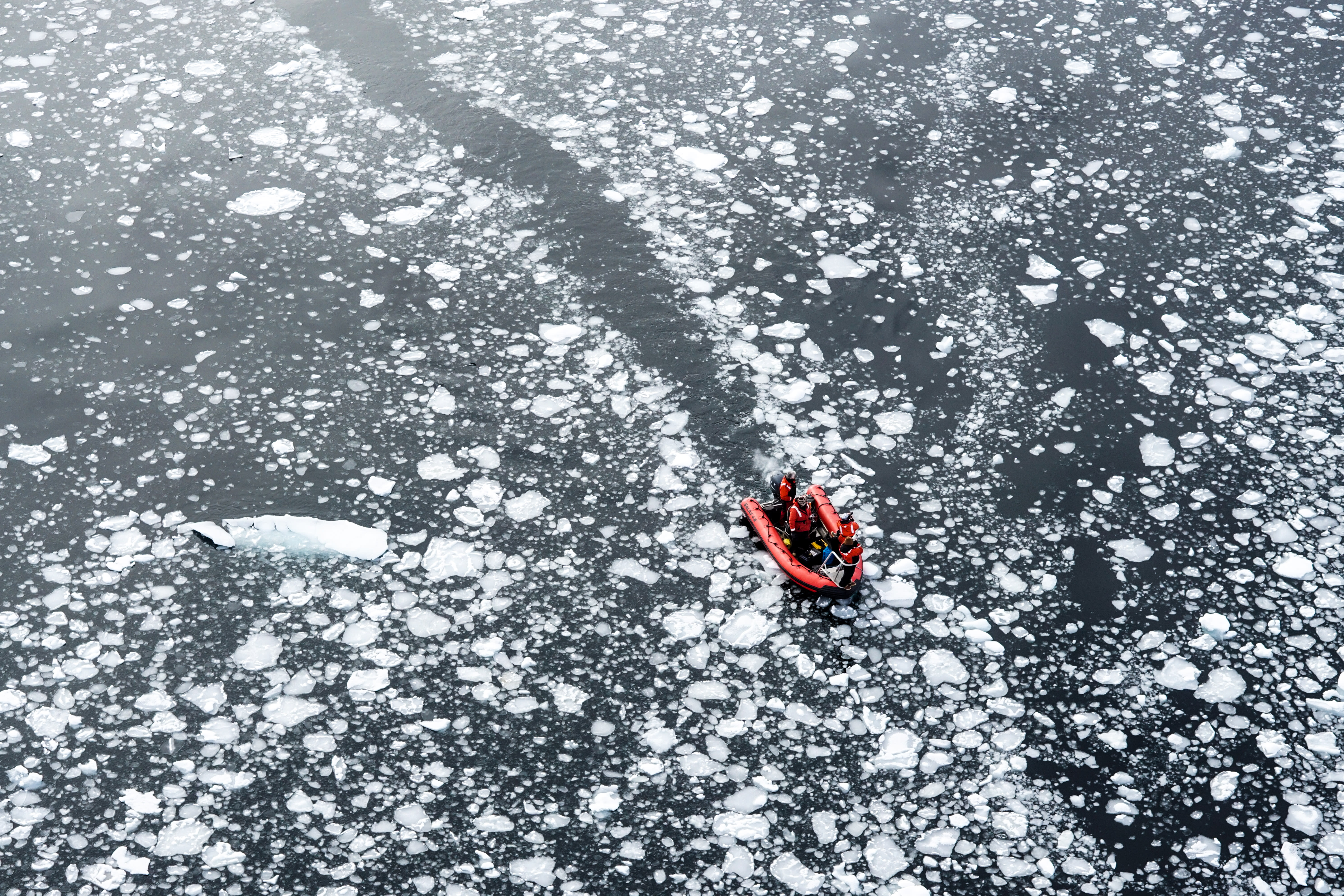 Researchers work in extreme environments to study Antarctica’s ocean giants.  Researchers are captured on video from a drone, navigating through ice to find humpback whales in Charlotte Bay.