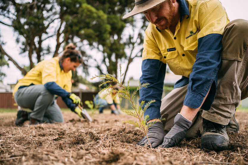 Greening Australia Great West Walk Tree Planting