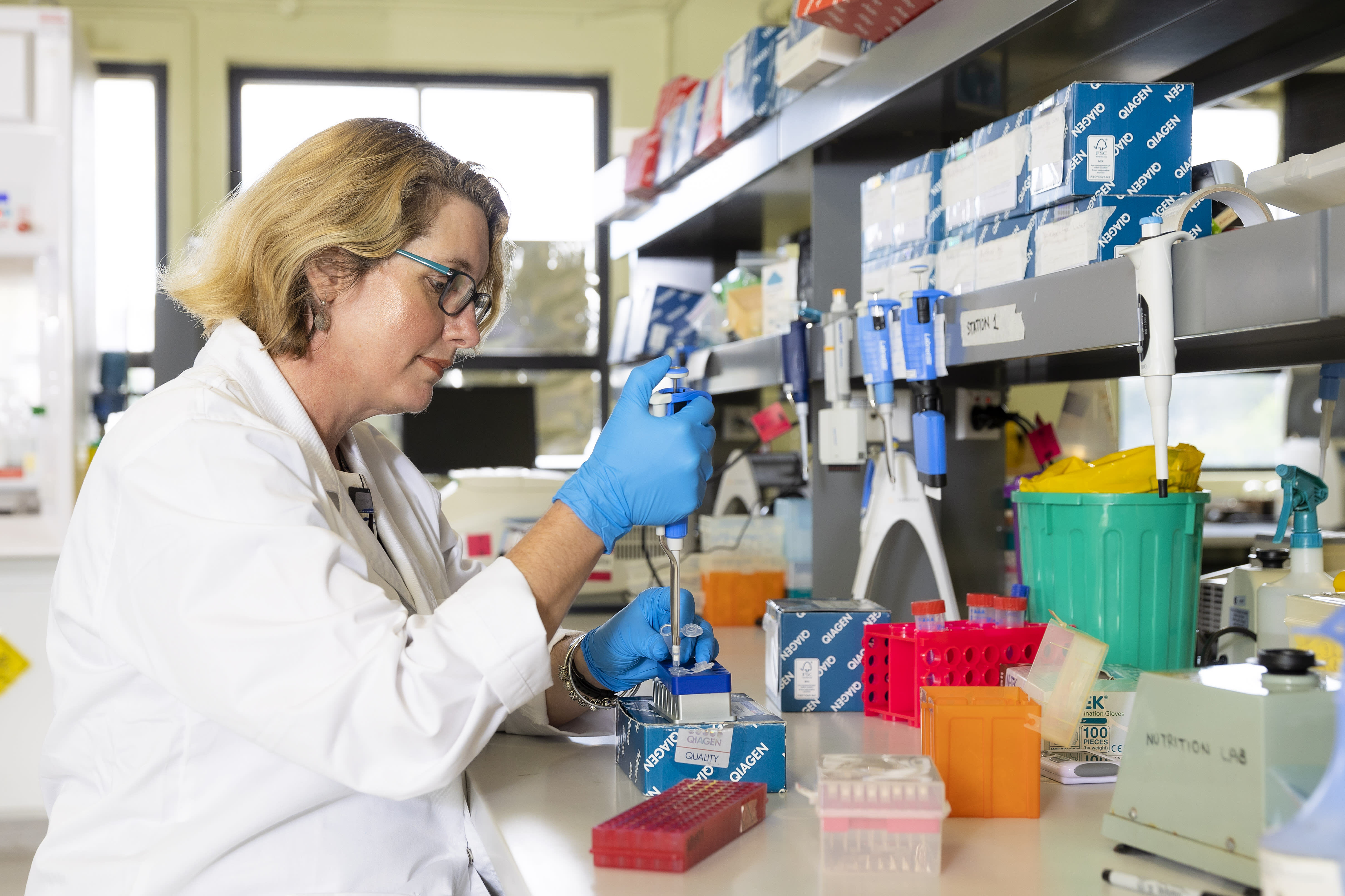 Dr Carloyn Hogg from University of Sydney tests koala DNA