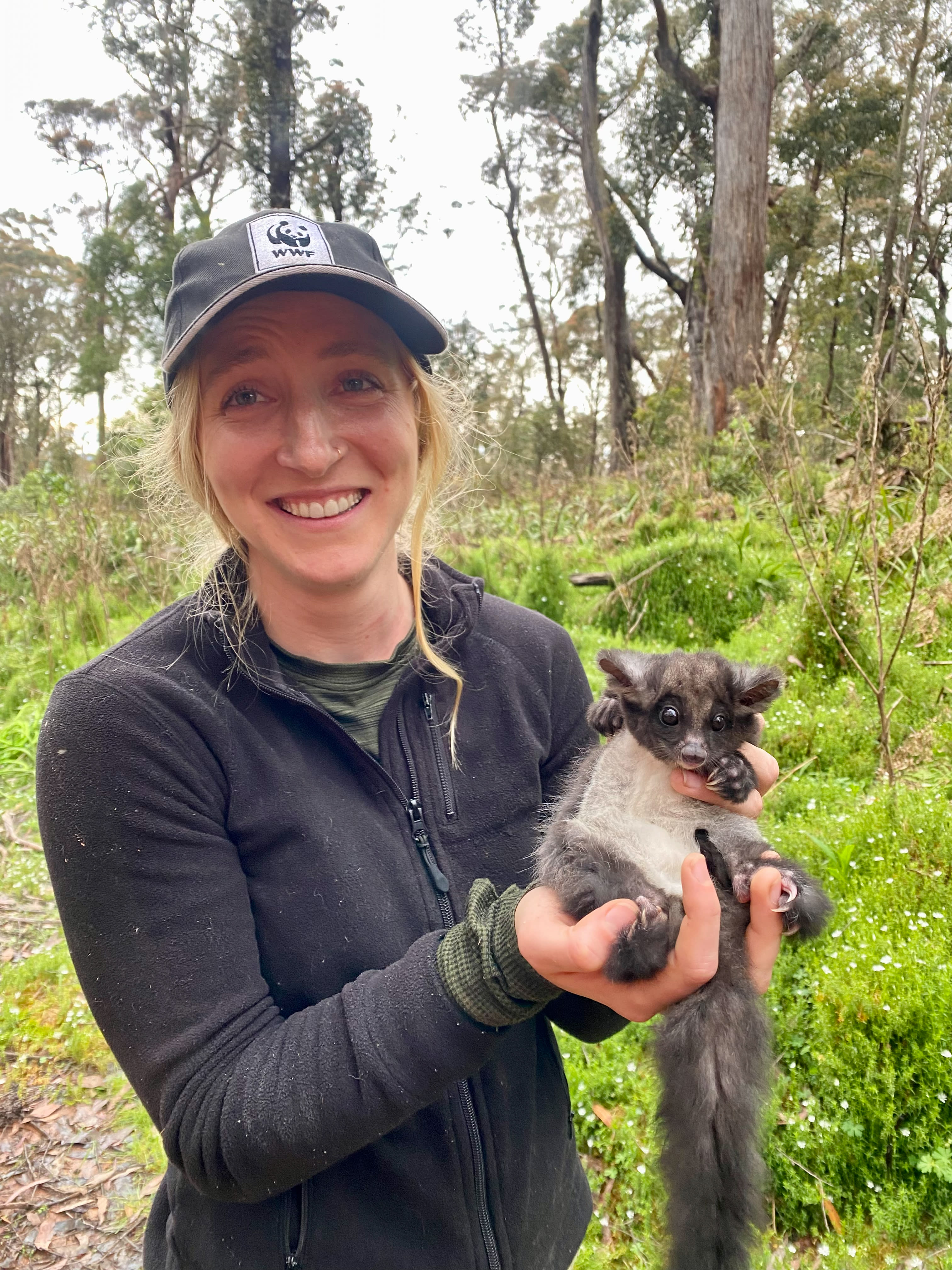 Dr Kita Ashman (Threatened Species & Climate Adaptation Ecologist, WWF-Australia) with a greater glider.\nWWF-Australia is partnering with The University of Sydney to deploy GPS collars on greater gliders to get one of the worlds first high-resolution looks into greater glider home ranges and habitat use in bushfire-impacted forests.
